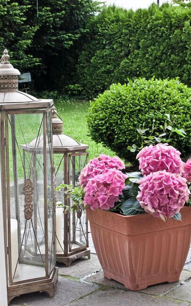 Фото Hotel Sonnenbichl