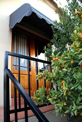 Внешний вид отеля Del Roza Guest House в Стиве Тшвете, фото 4