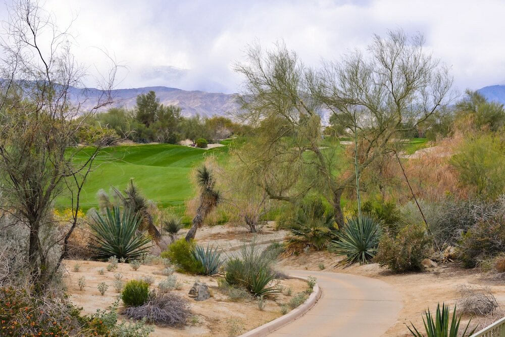 Фото Courtyard Palm Desert by Marriott