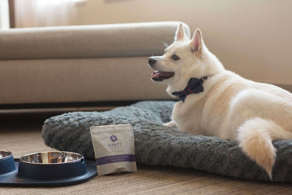 Фото Hyatt Regency Lake Washington at Seattle’s Southport