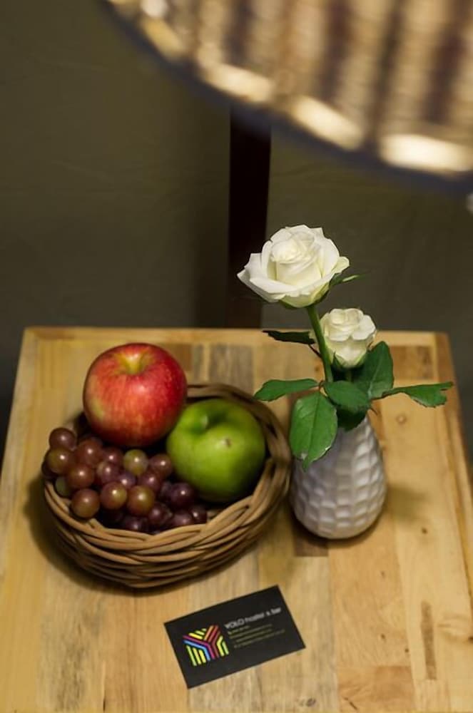 Фото Yolo Camping House