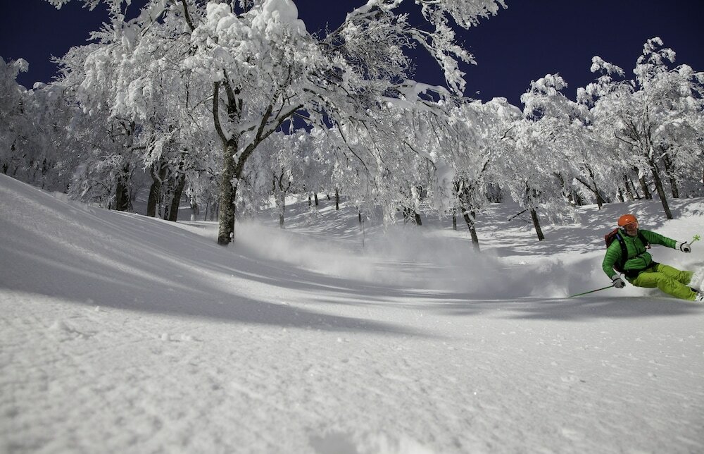 Фото Hotel Green Plaza Hakuba