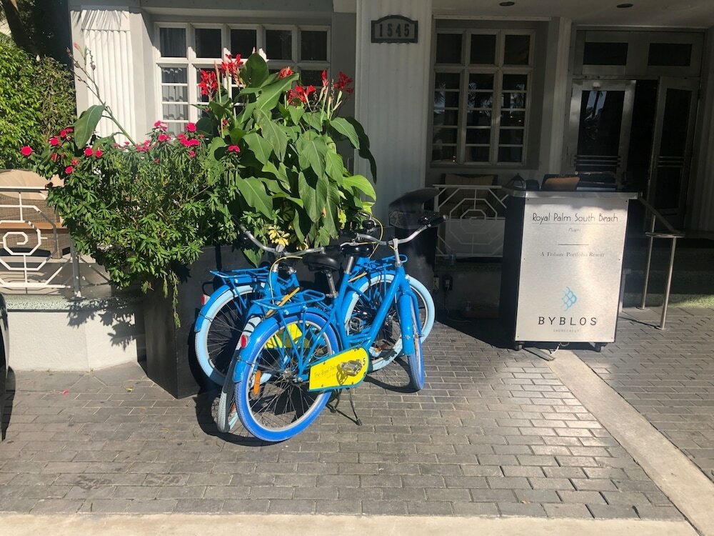 Фото Royal Palm South Beach Miami, a Tribute Portfolio Resort