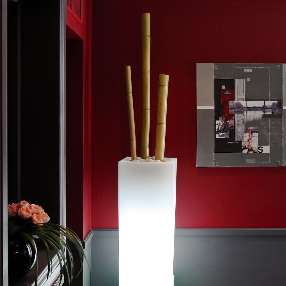 Фото Hotel Alexandra