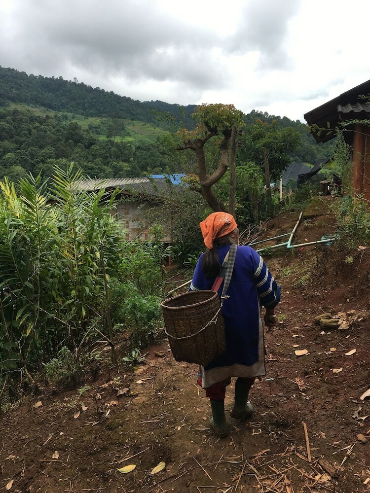 Фото Oh My Bed Chiang Mai