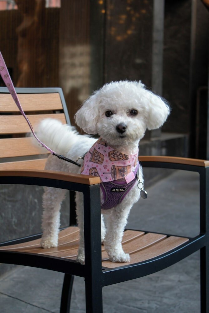 Фото Metropolitan at The 9, Autograph Collection