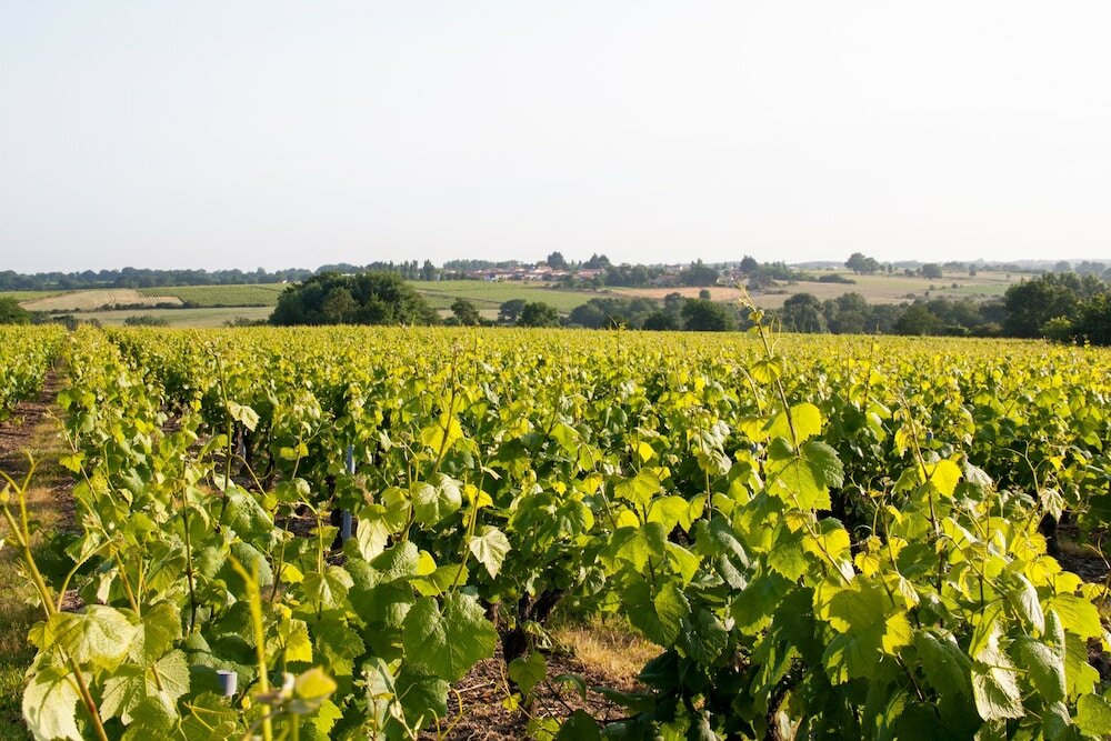 Фото Holiday Inn Express Saint-Nazaire