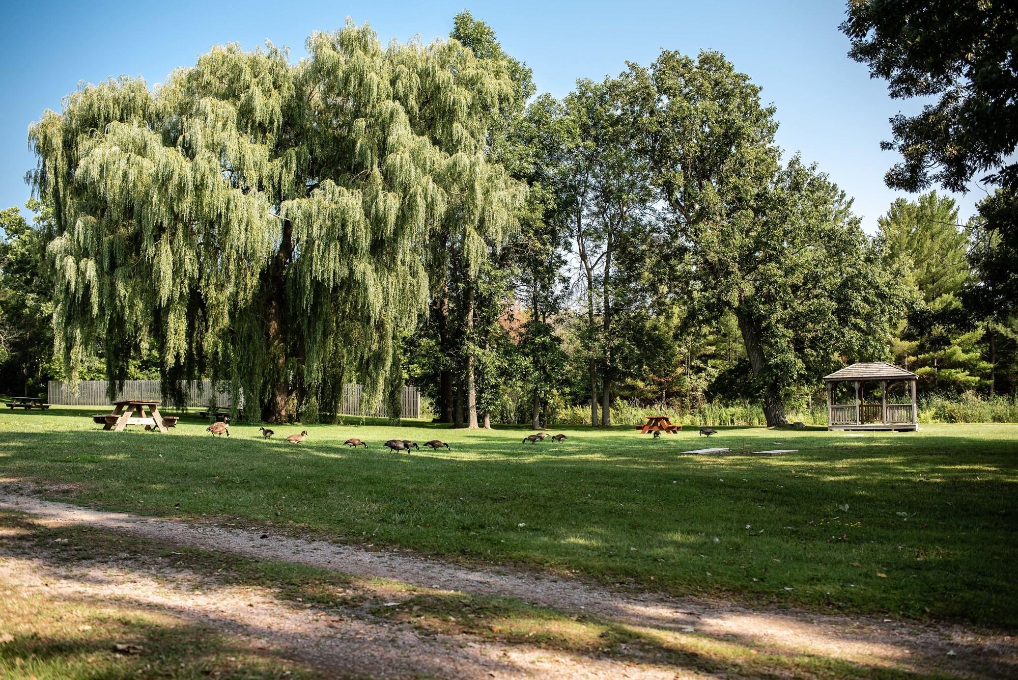 Фото Capt. 's Inn & Suites