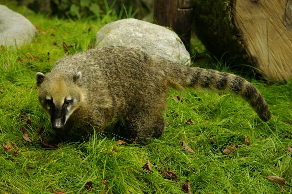 Фото Altes Stahlwerk