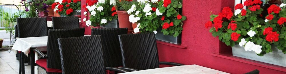 Фото Hotel Restaurant Alexandros