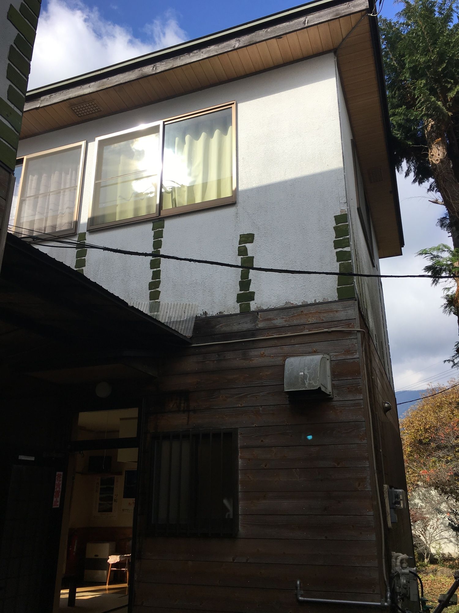 Фото Lupinus Kawaguchiko