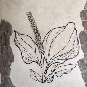 Фото Подорожник