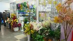 Искусственные цветы (Komsomolskaya ulitsa, 242), artificial plants and flowers