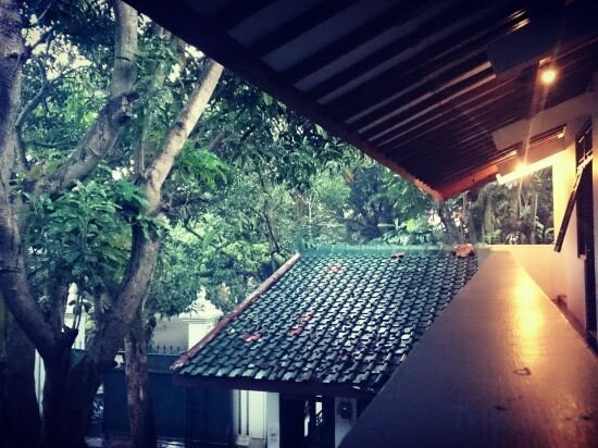 Hotel Arjuna 31 Homestay, Yogyakarta, photo