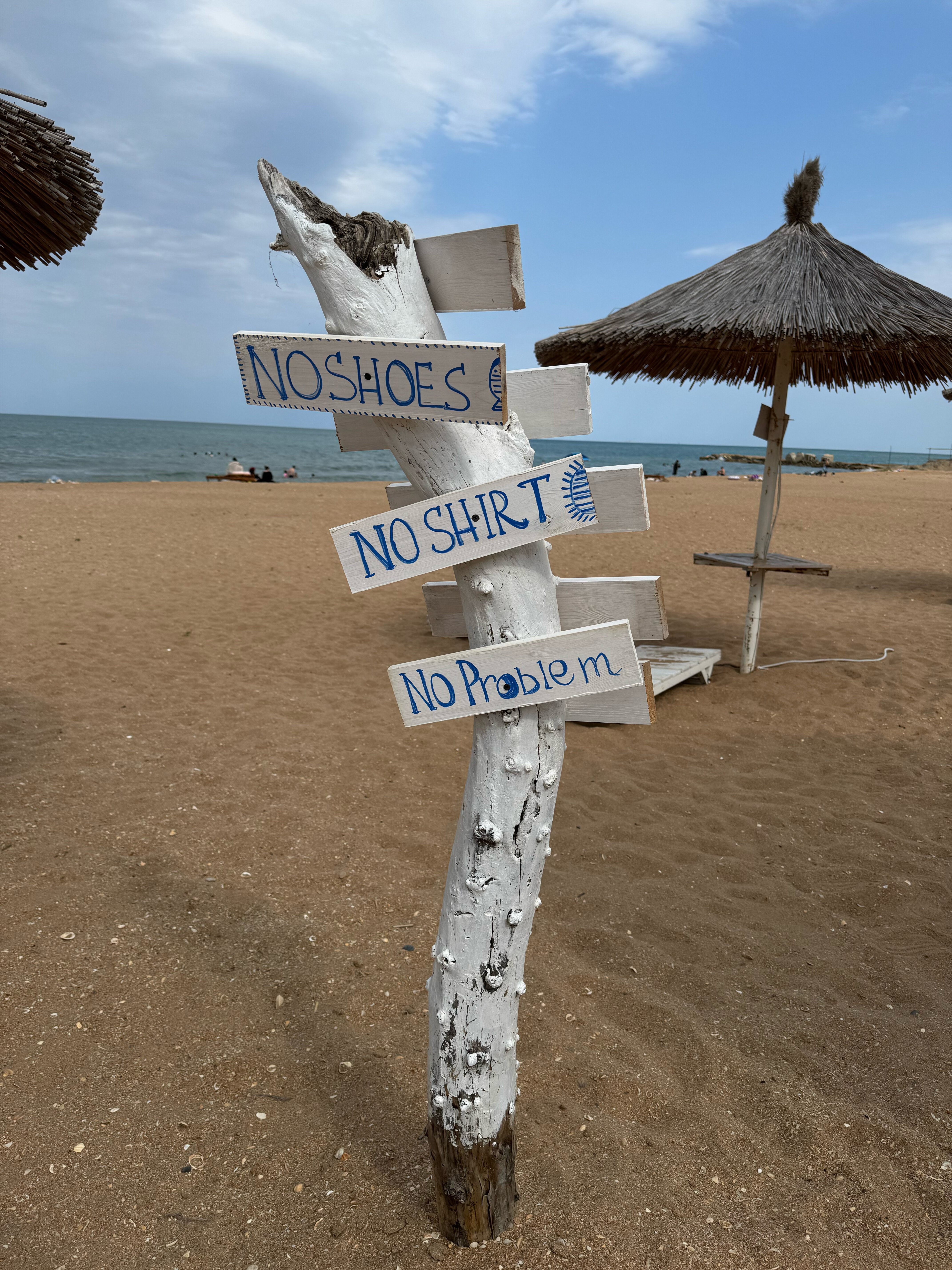 Фото Белый кит