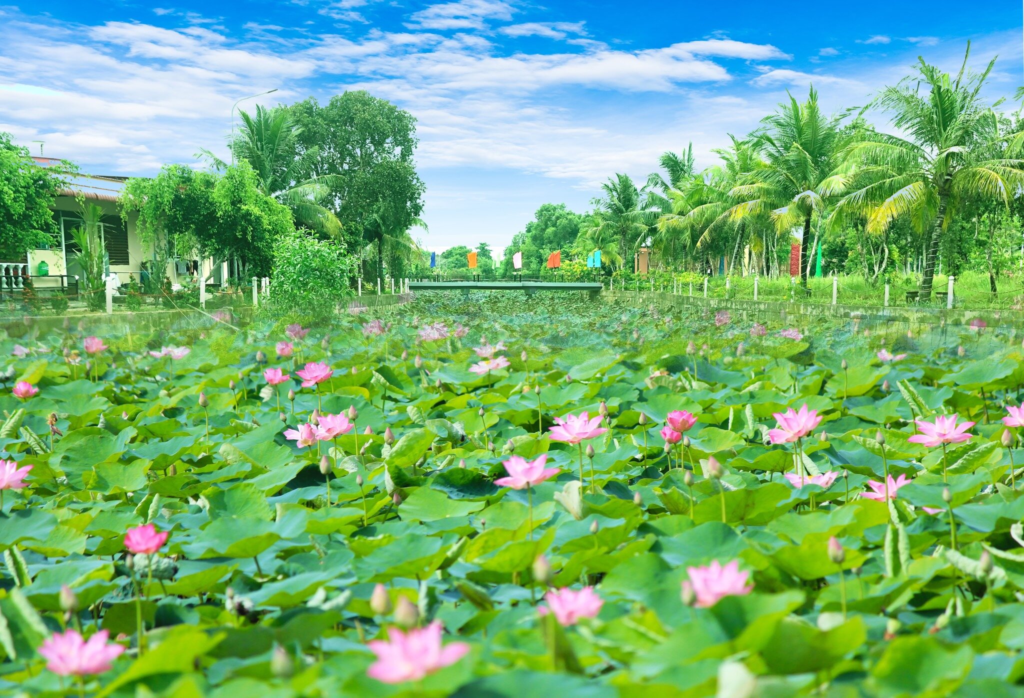 Фото Mercury Phu Quoc Resort & Villas