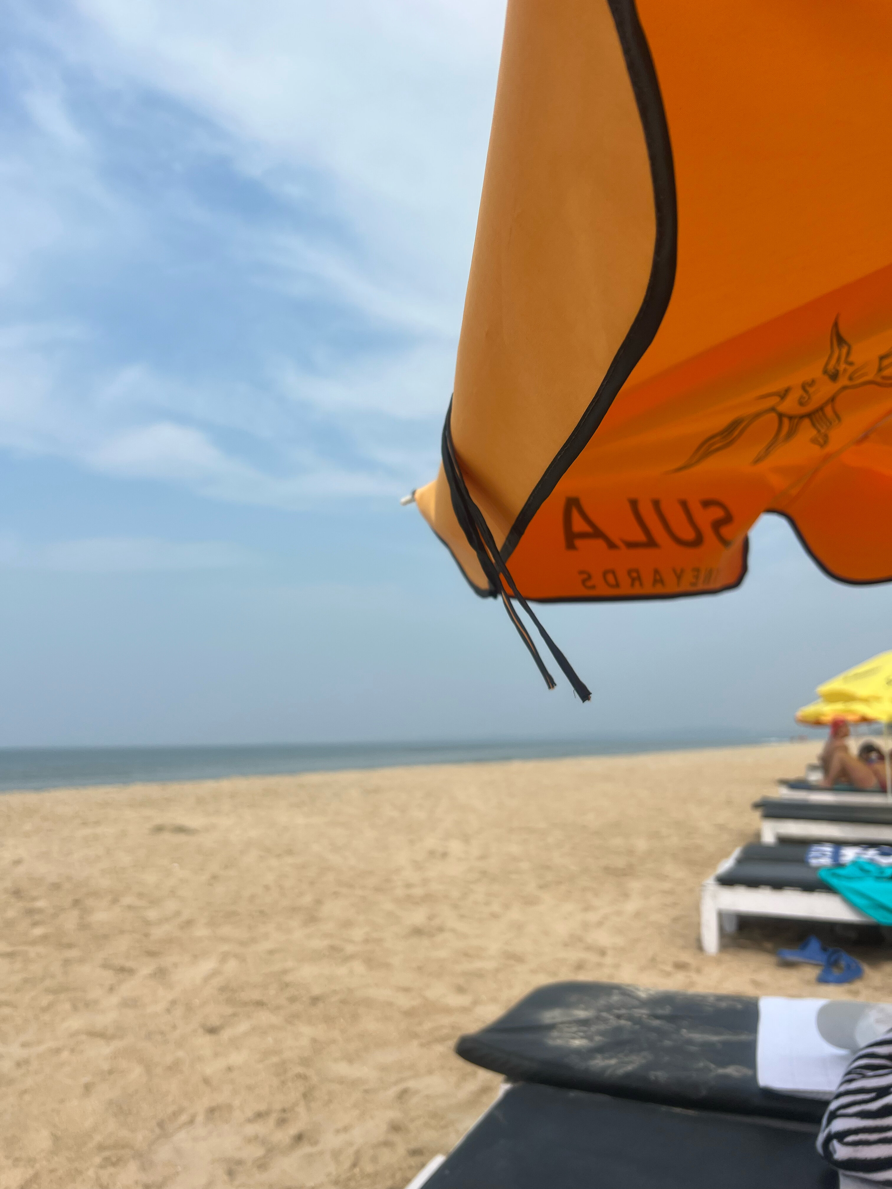 Фото Alagoa Resort