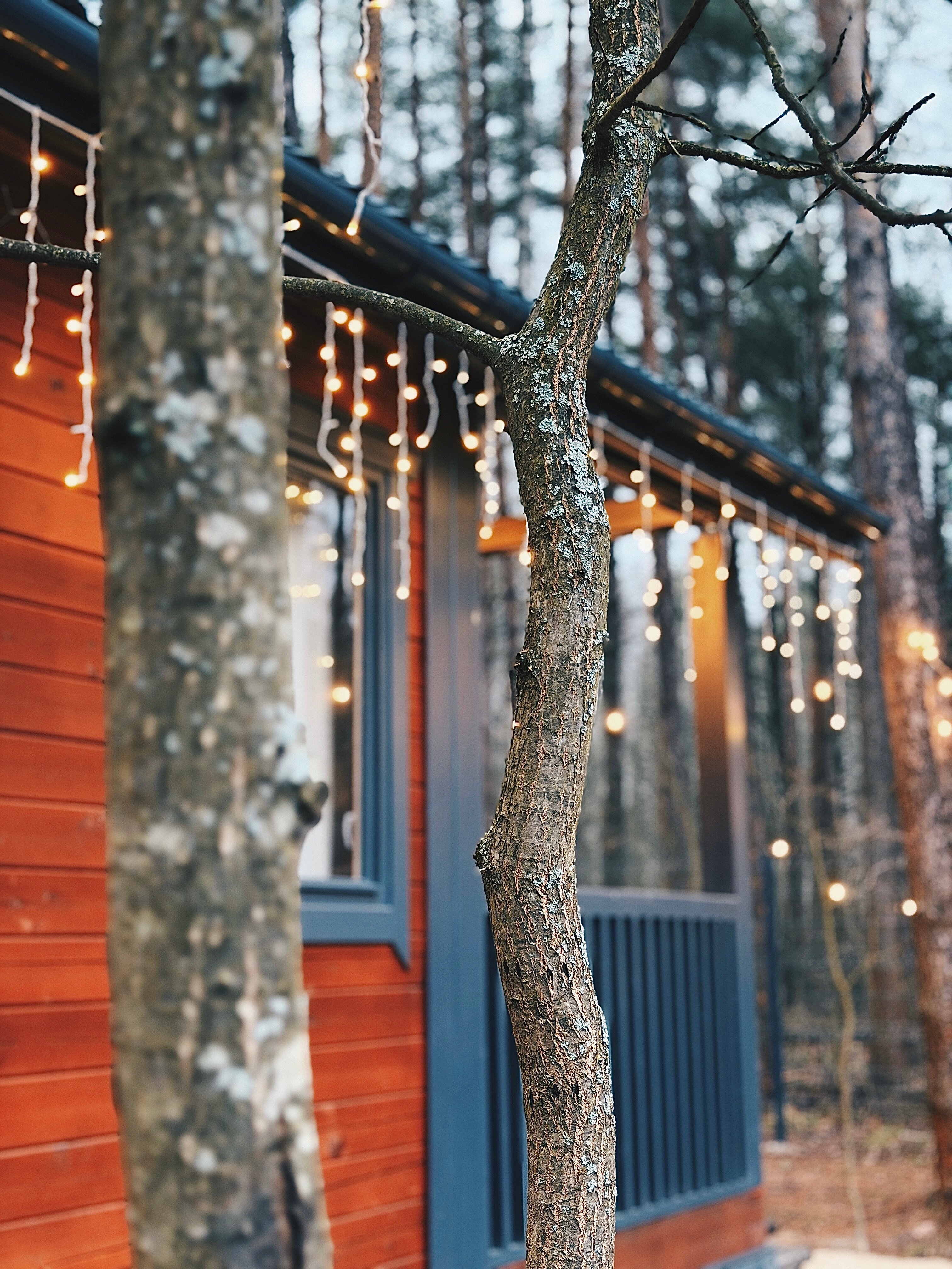 Фото Дубровка