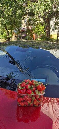 Gazetalar dokonlarida erotik jurnallar mavjud