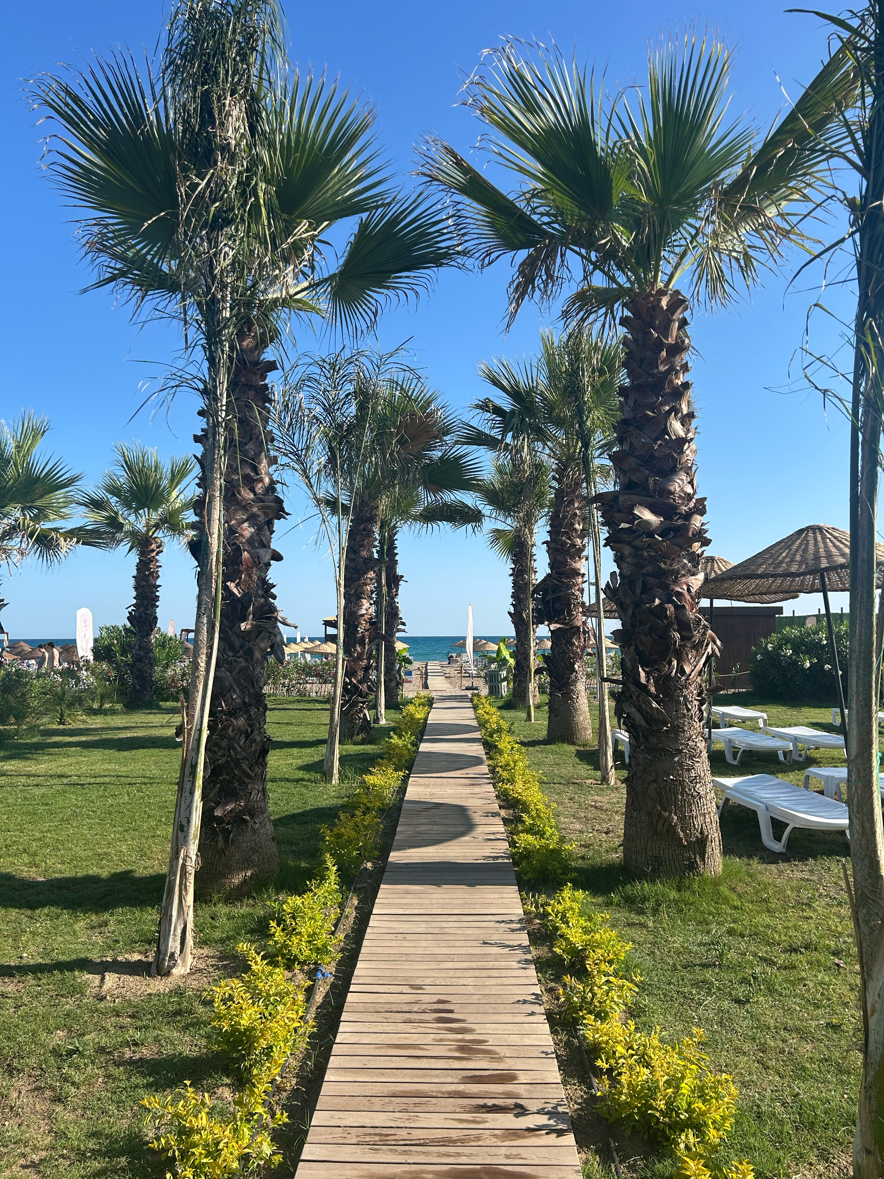 Shvetsiya porno film