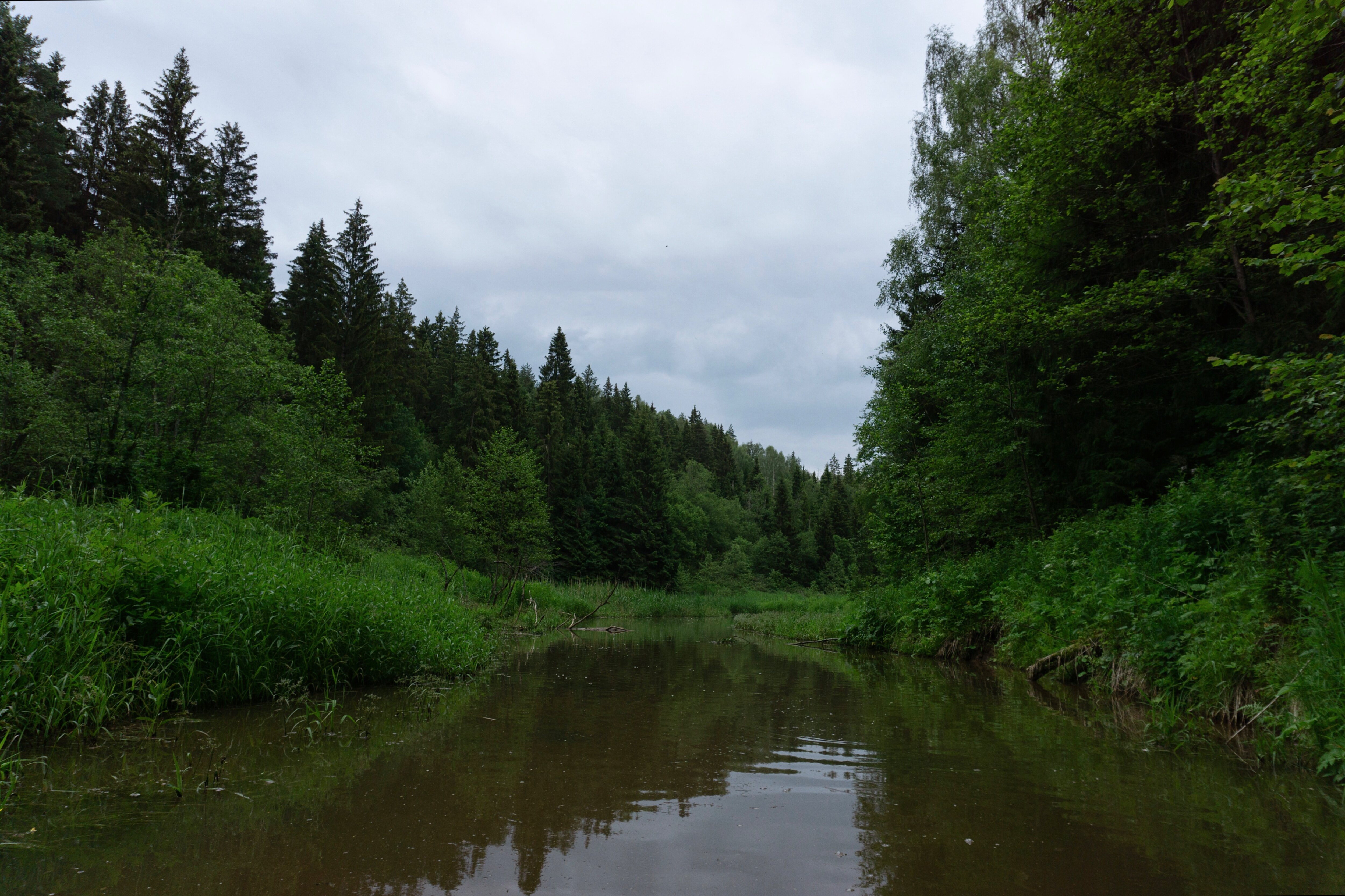 Фото Дом Лемура