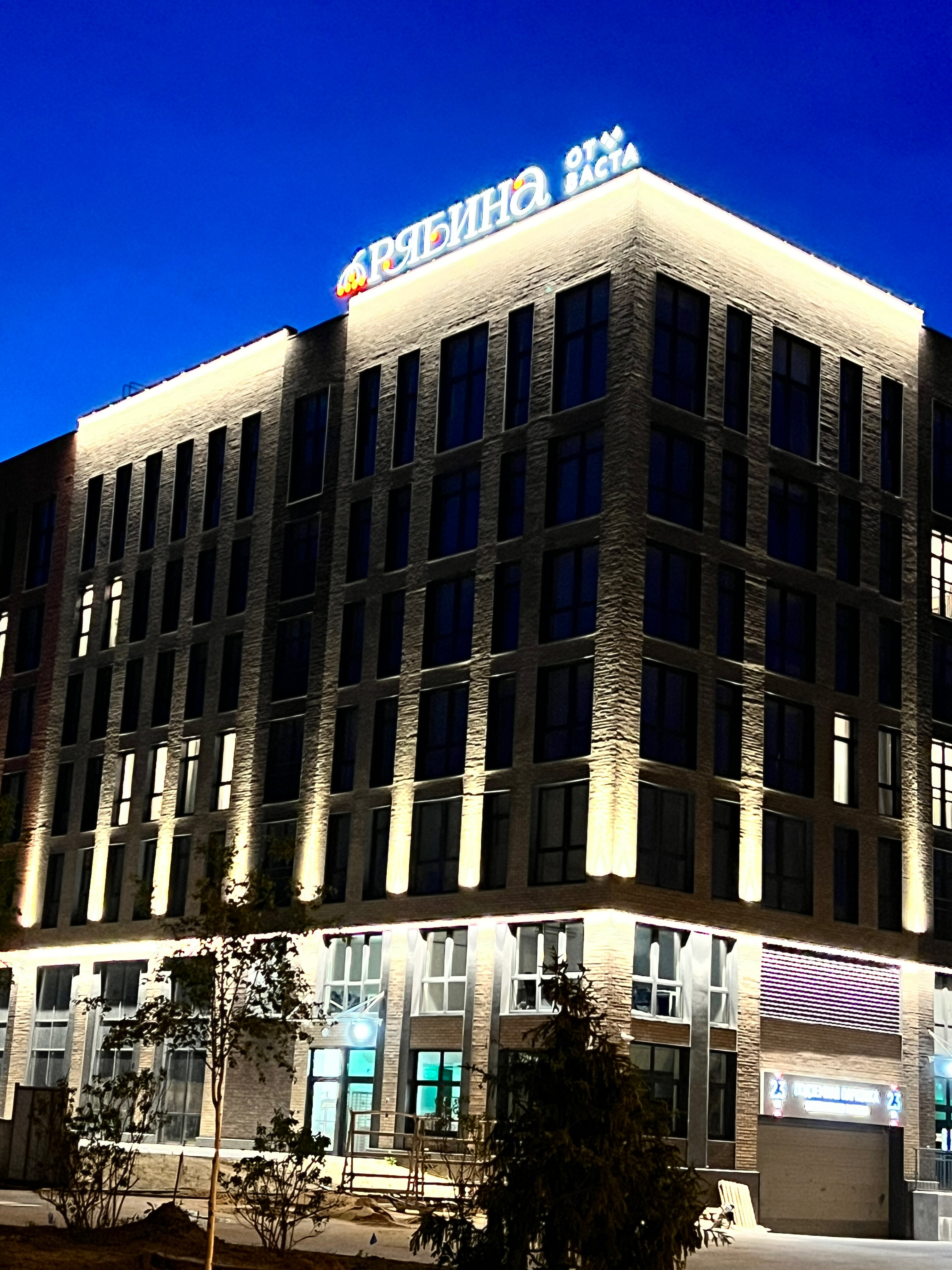 Фото Рябина от Васта