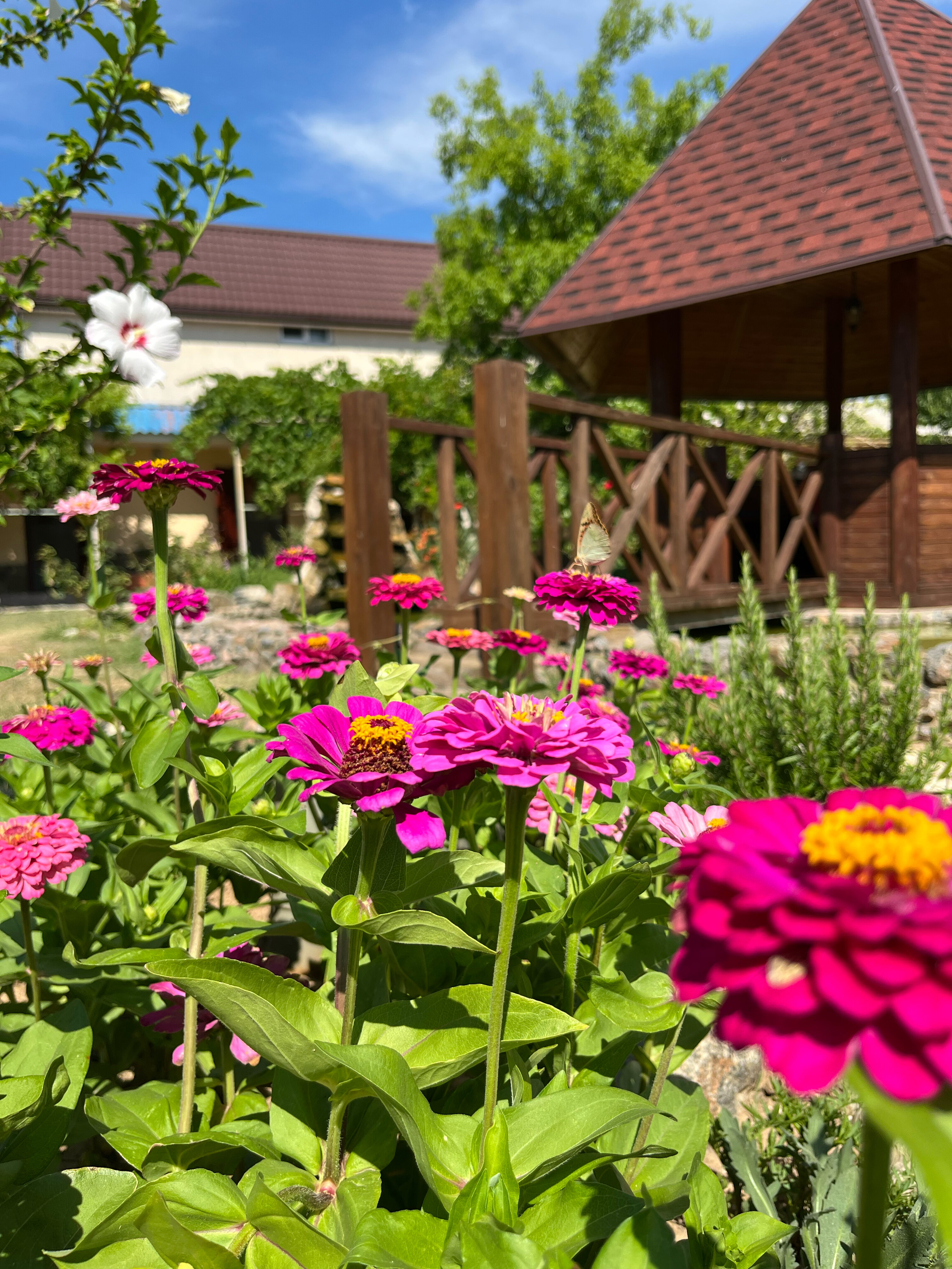 Фото Меотида