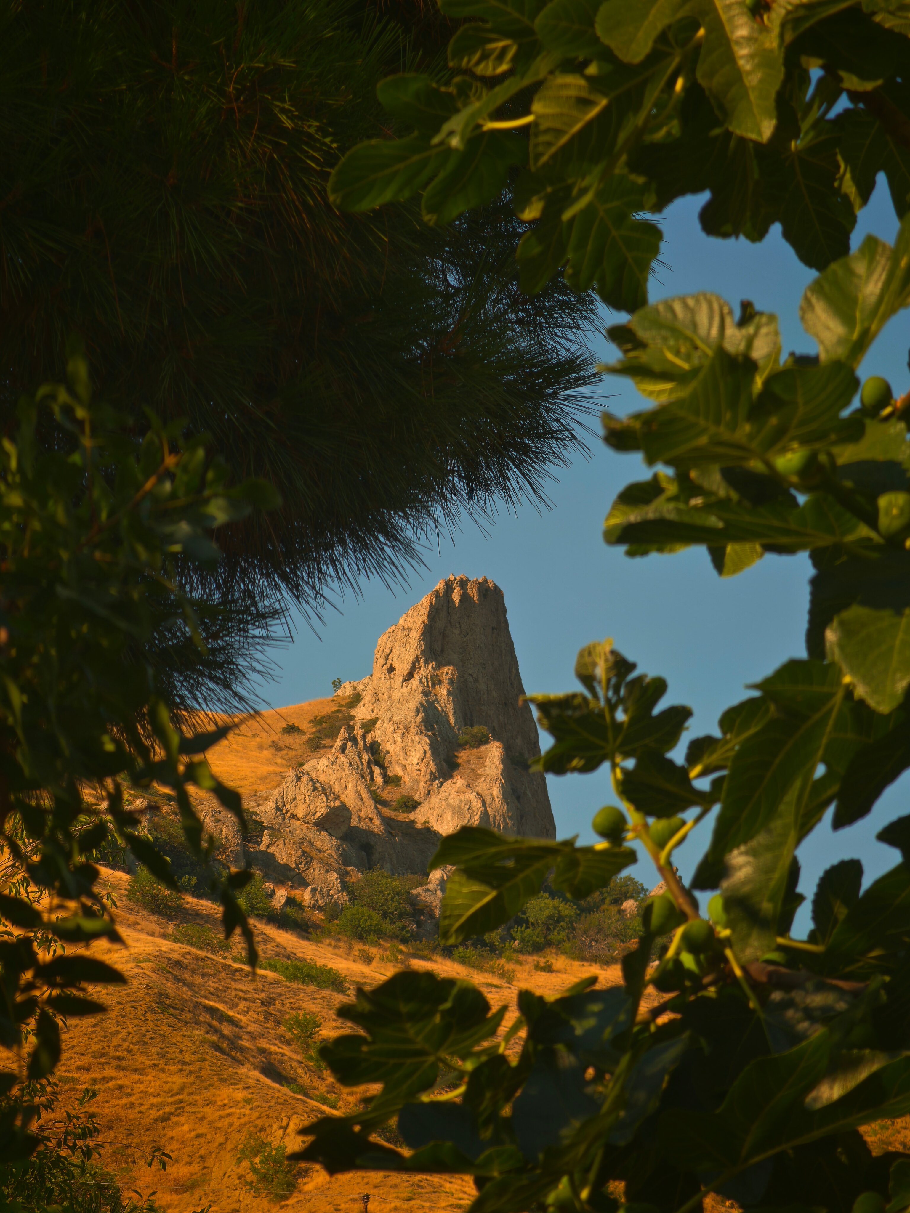 Фото Валента