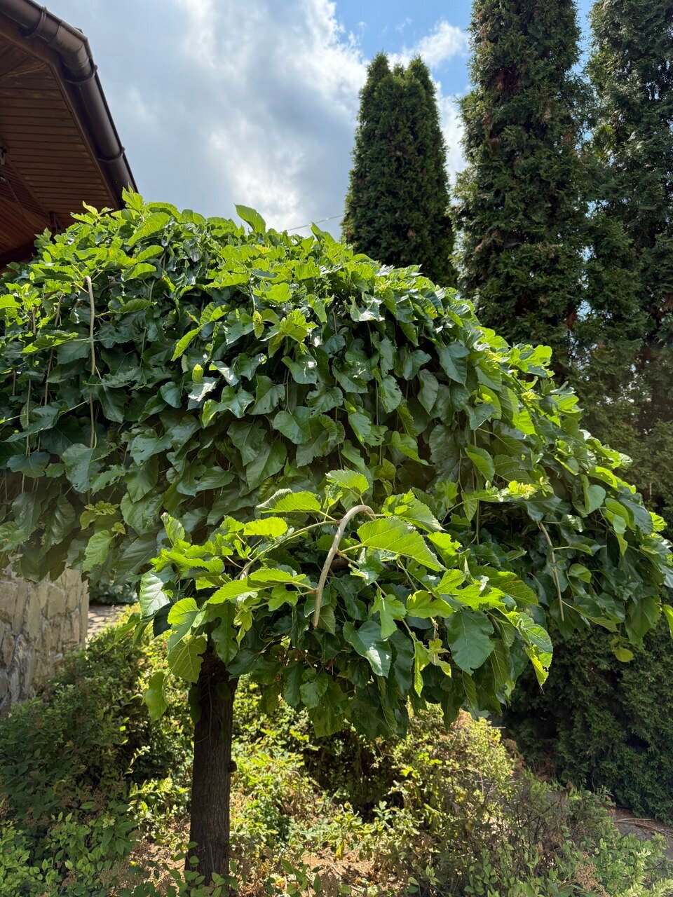 Фото Райский уголок