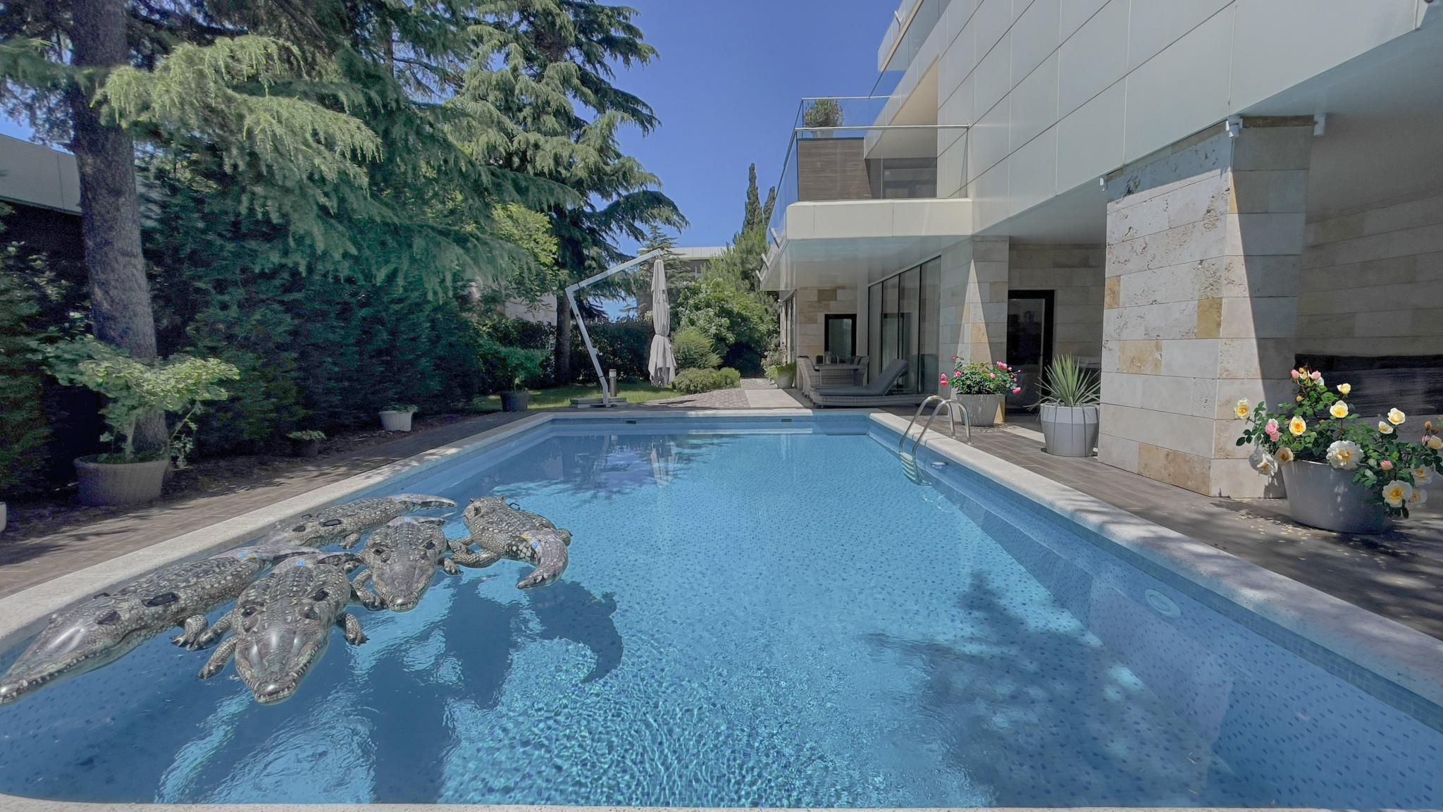 Фото Pulsar Villa Deluxe