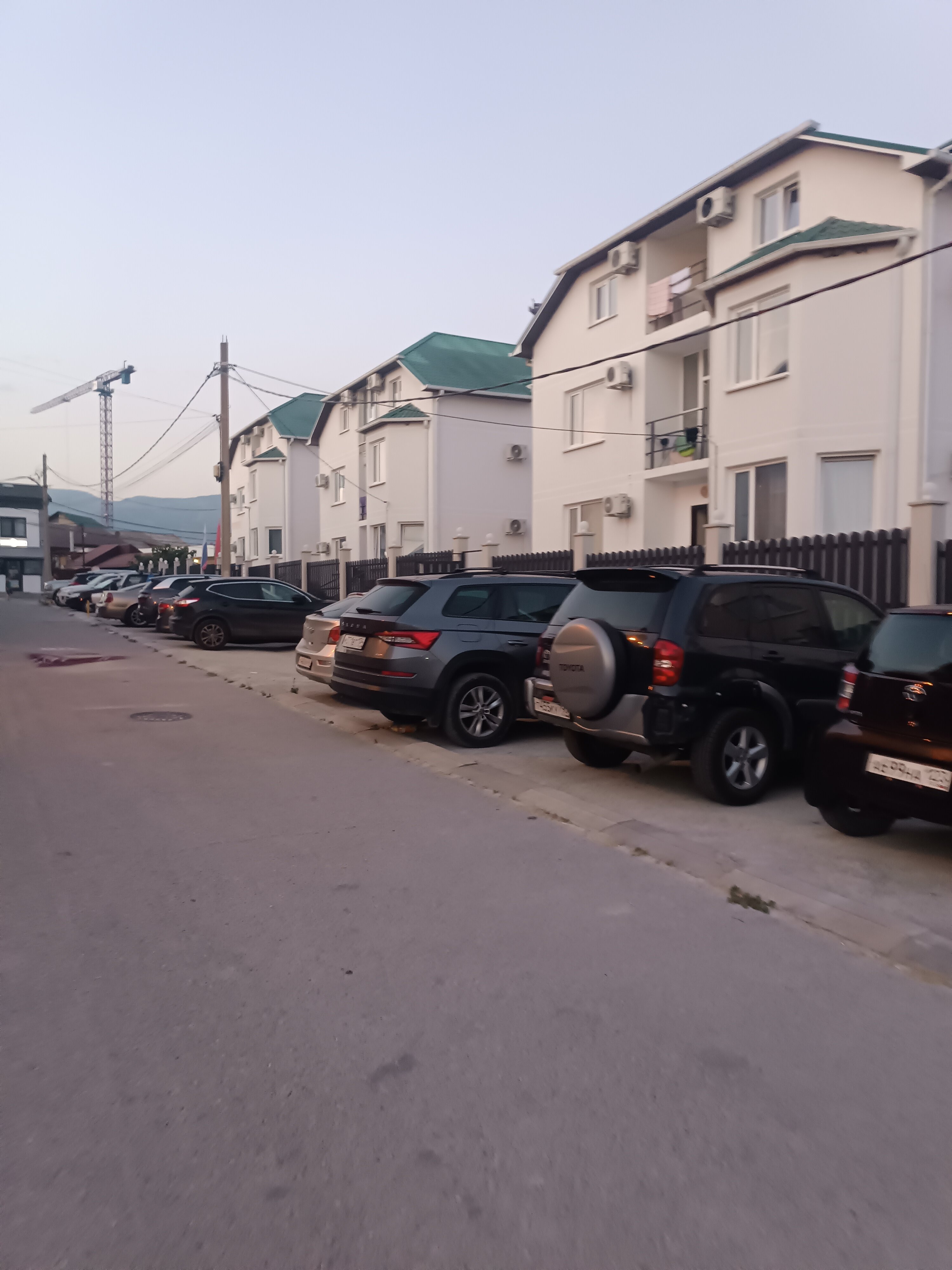 Фото Денница