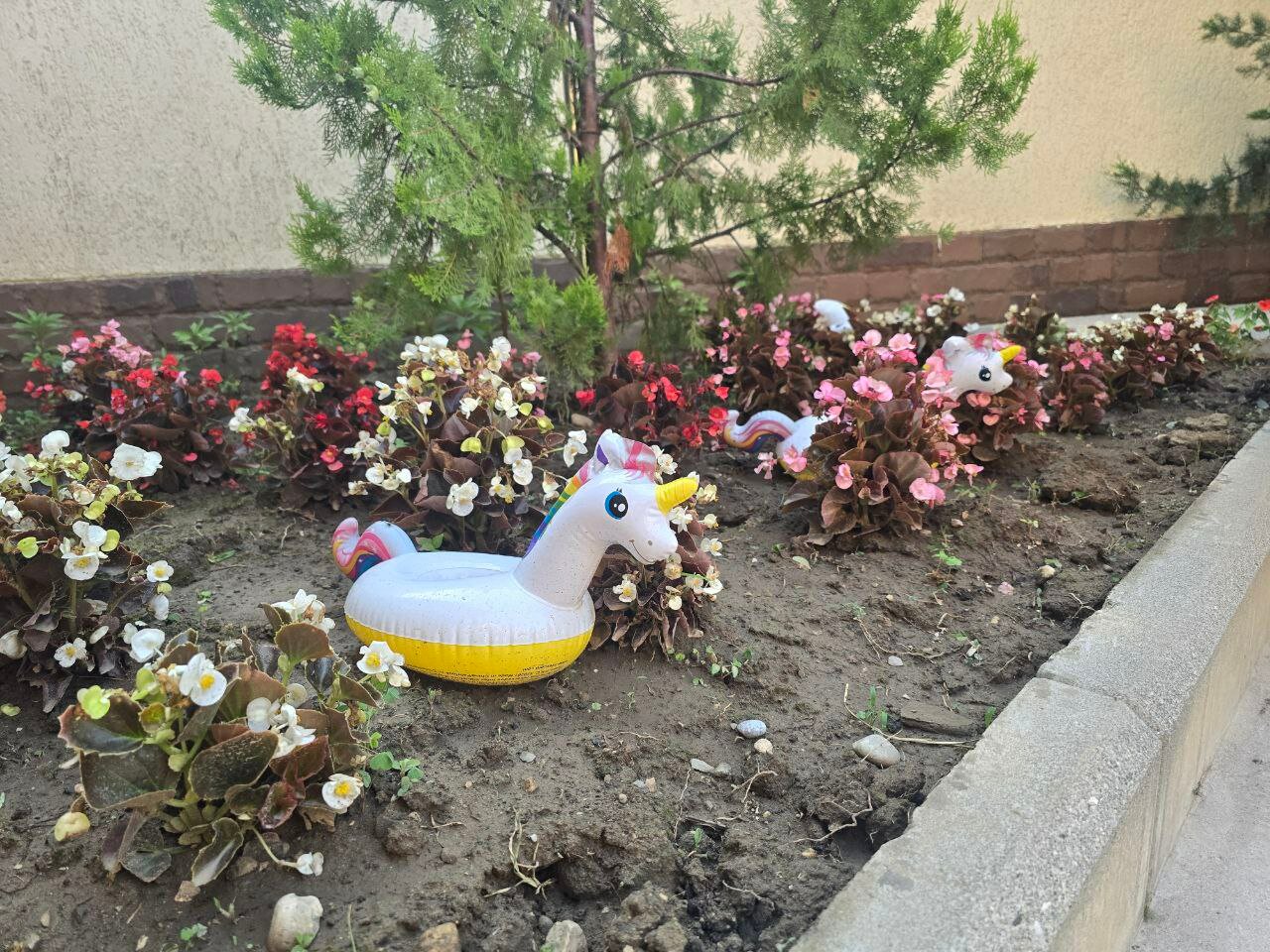 Фото Гостевой дом Данелян