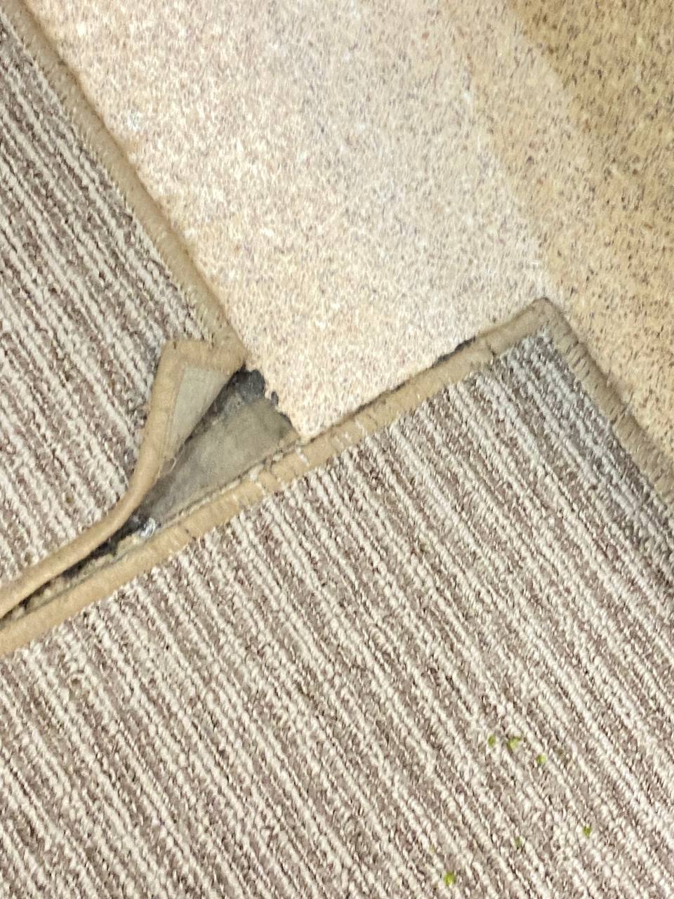 Фото Красная