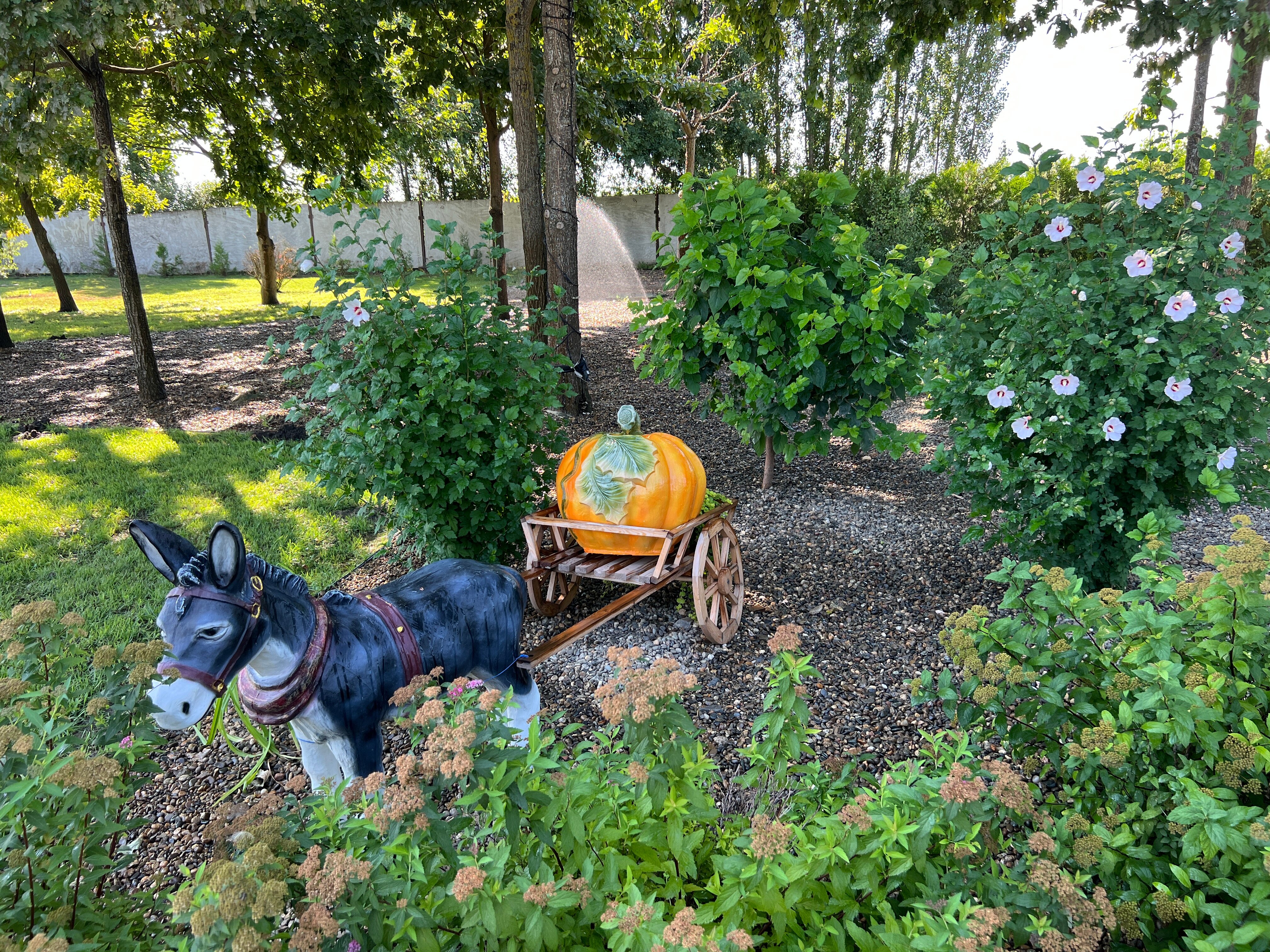 Фото Фамильный