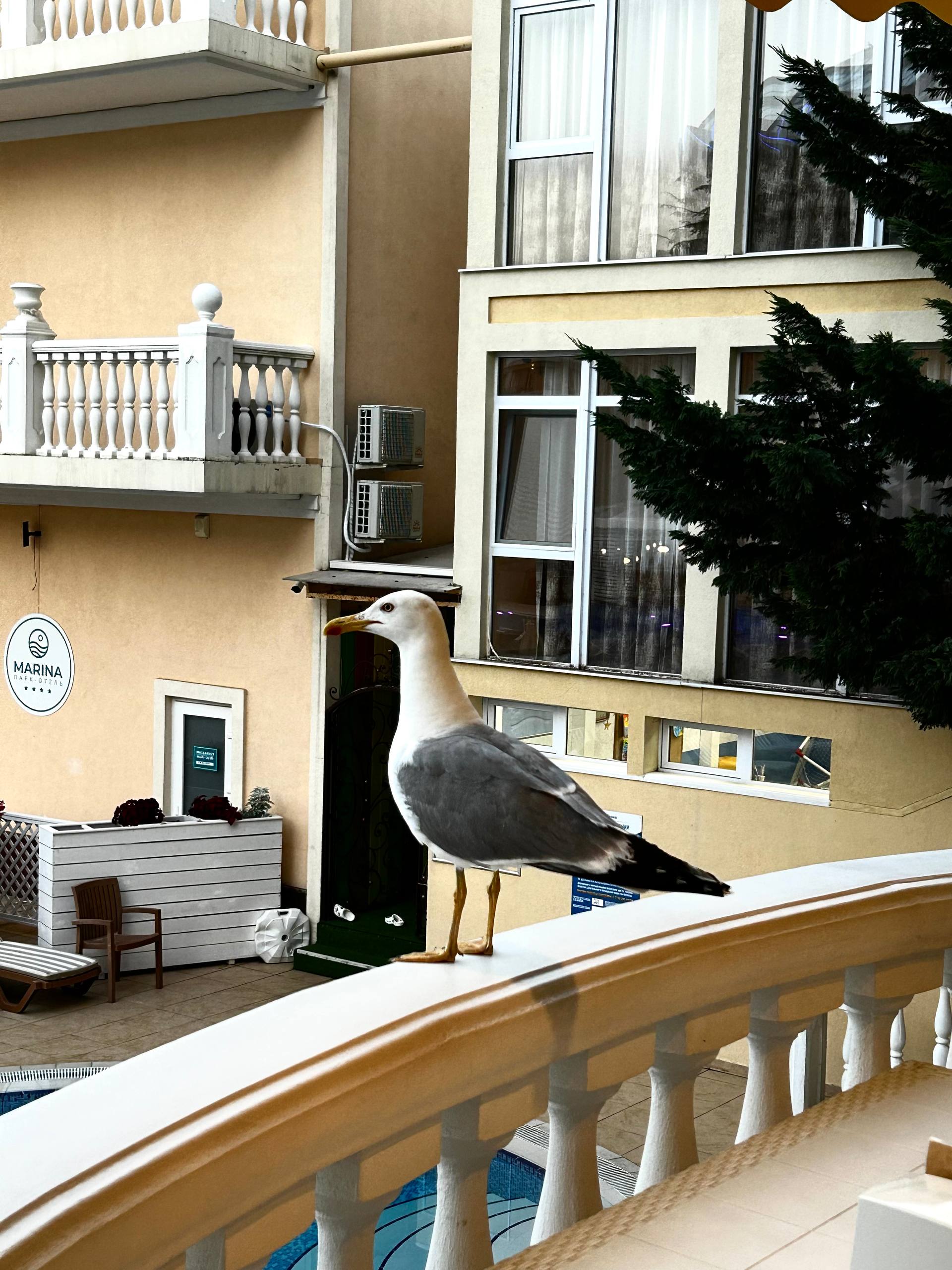 Фото ИваМария