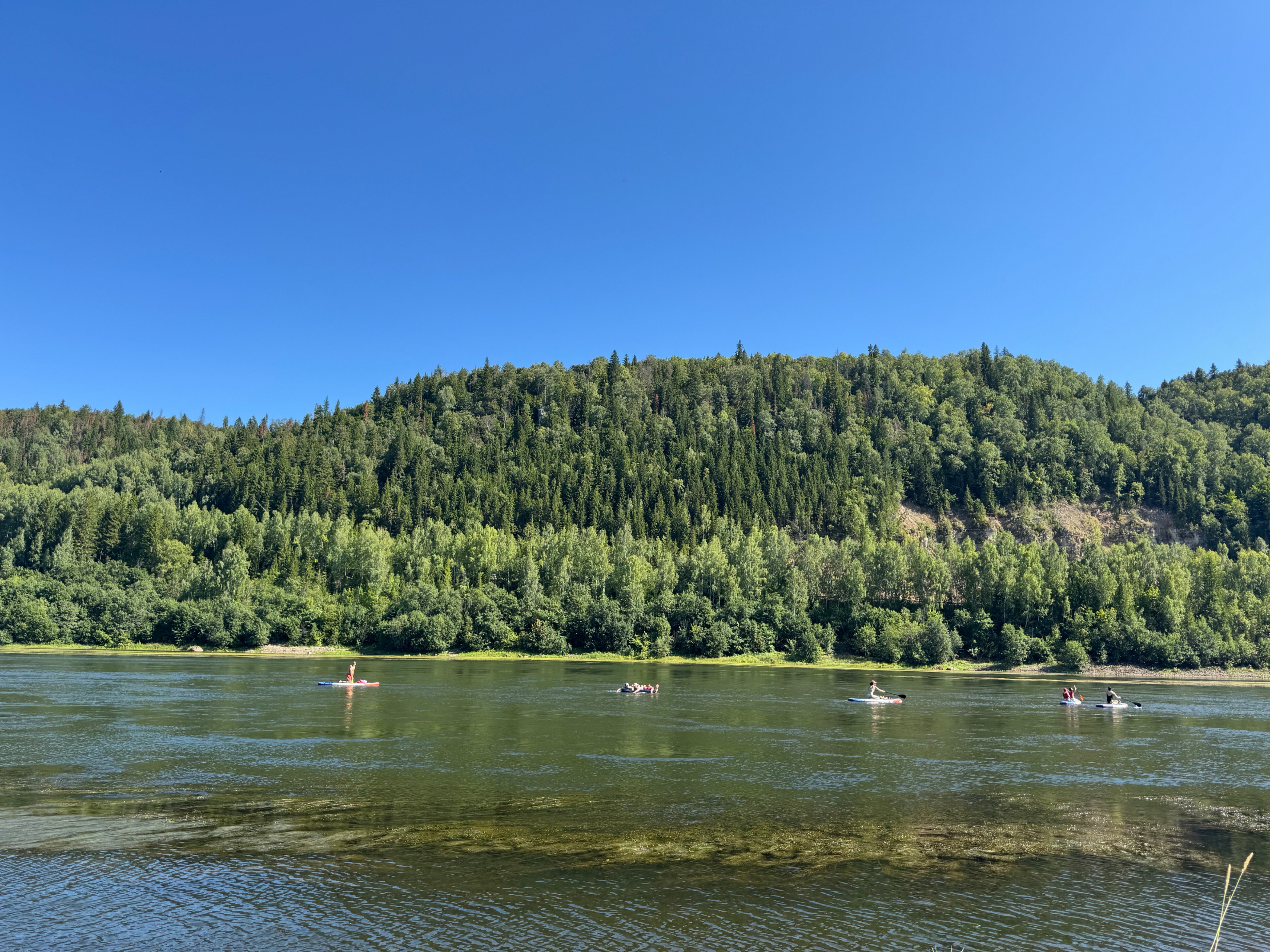 Фото Проект Деревня