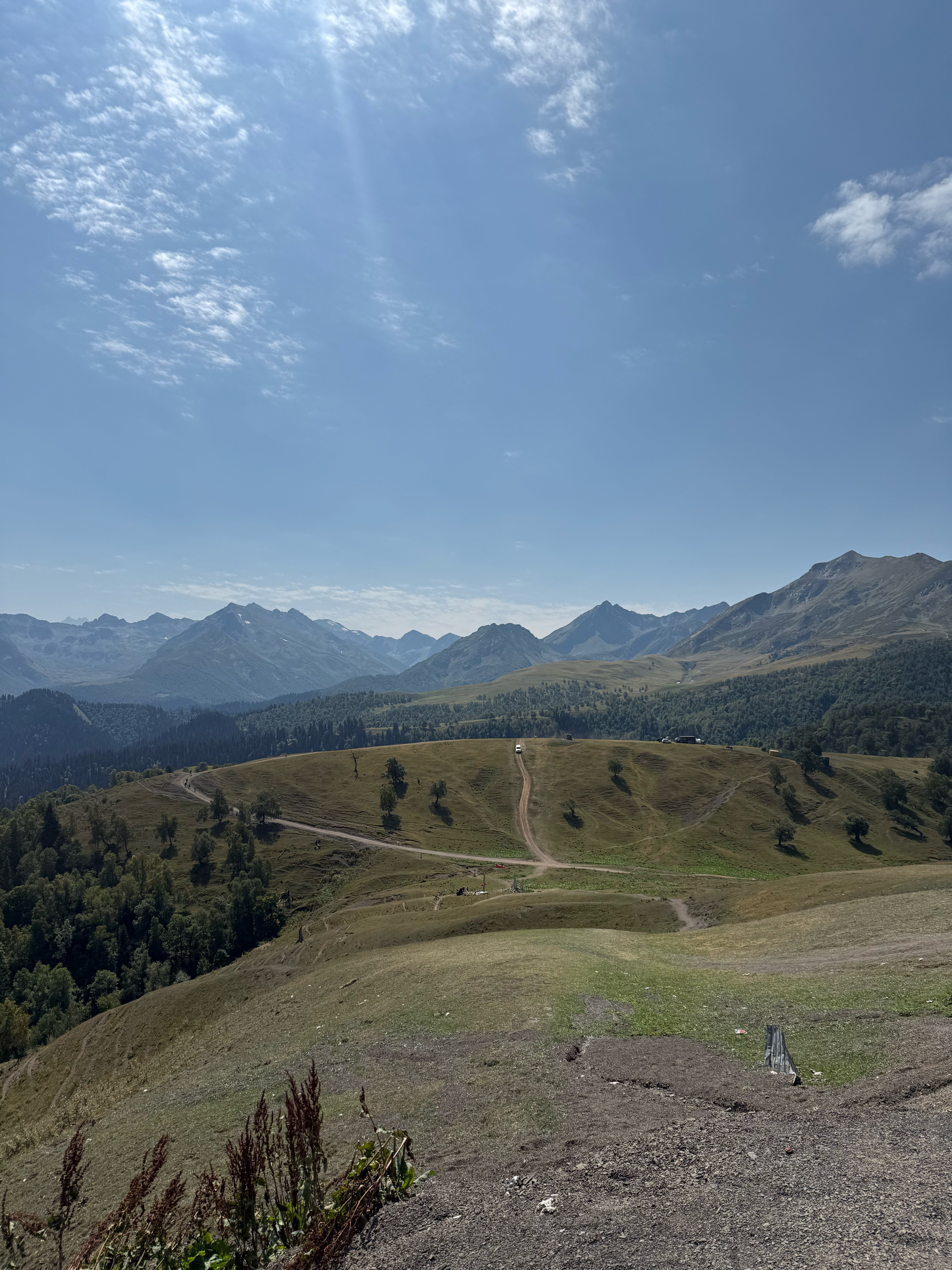 Фото Феникс