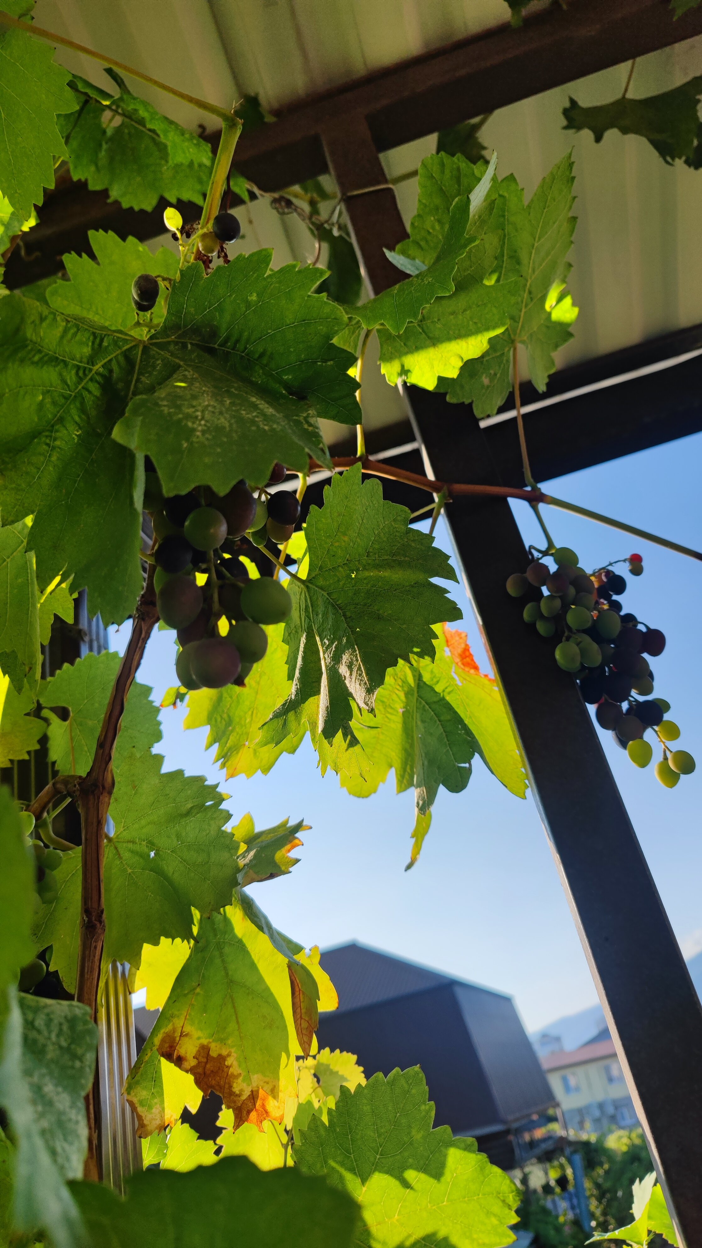 Фото Гостевой дом у Руслана