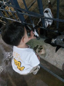 Zoo Favvora Zoo, Turakurgan, photo