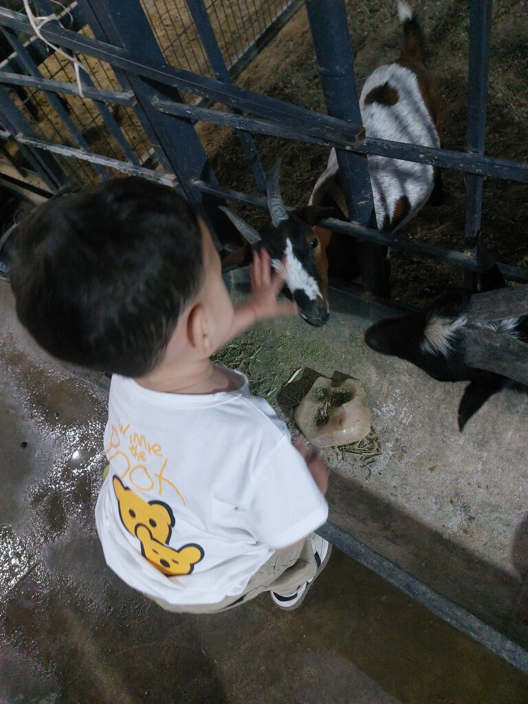 Zoo Favvora Zoo, Turakurgan, photo