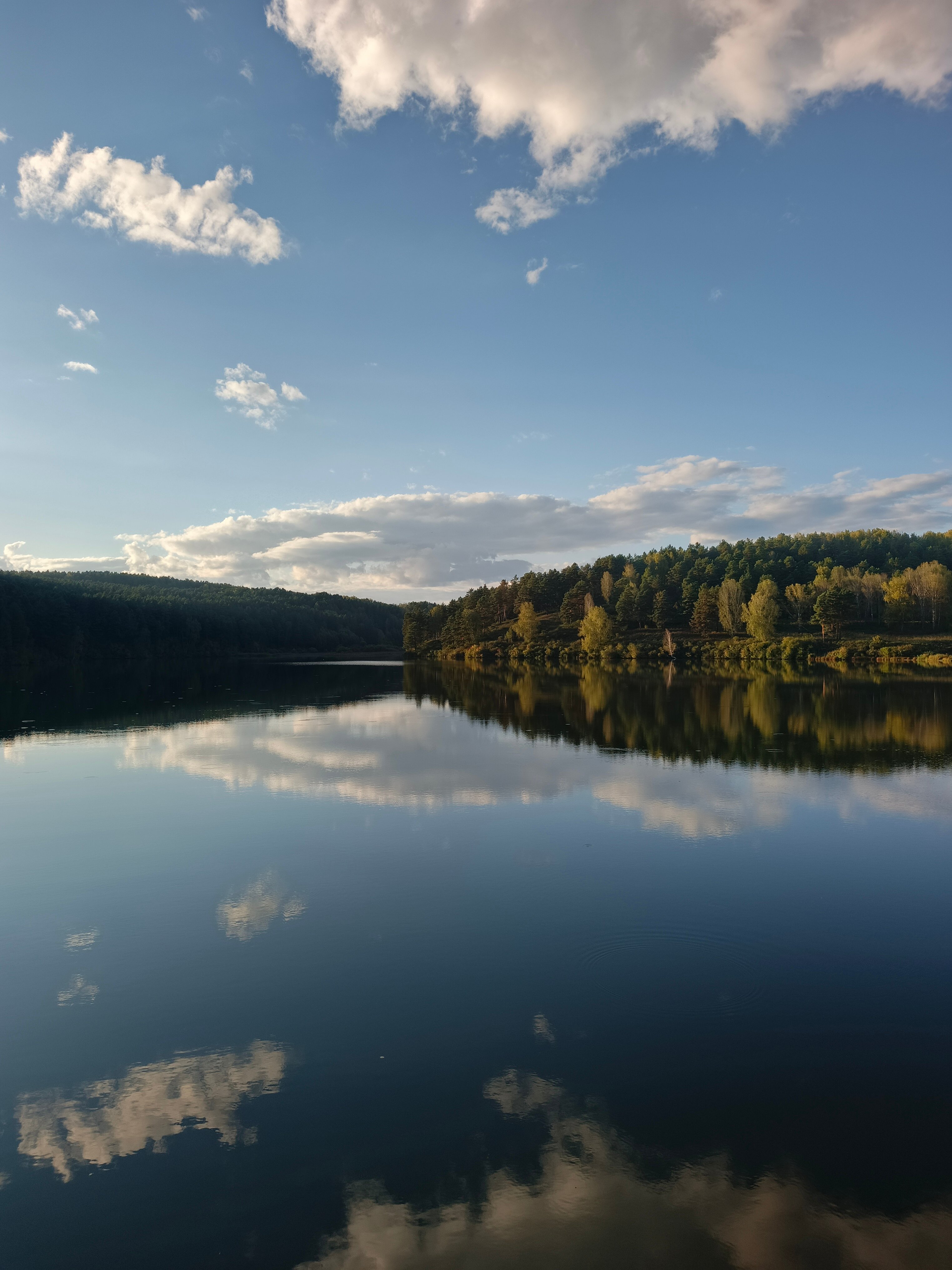 Фото Кедровый бор
