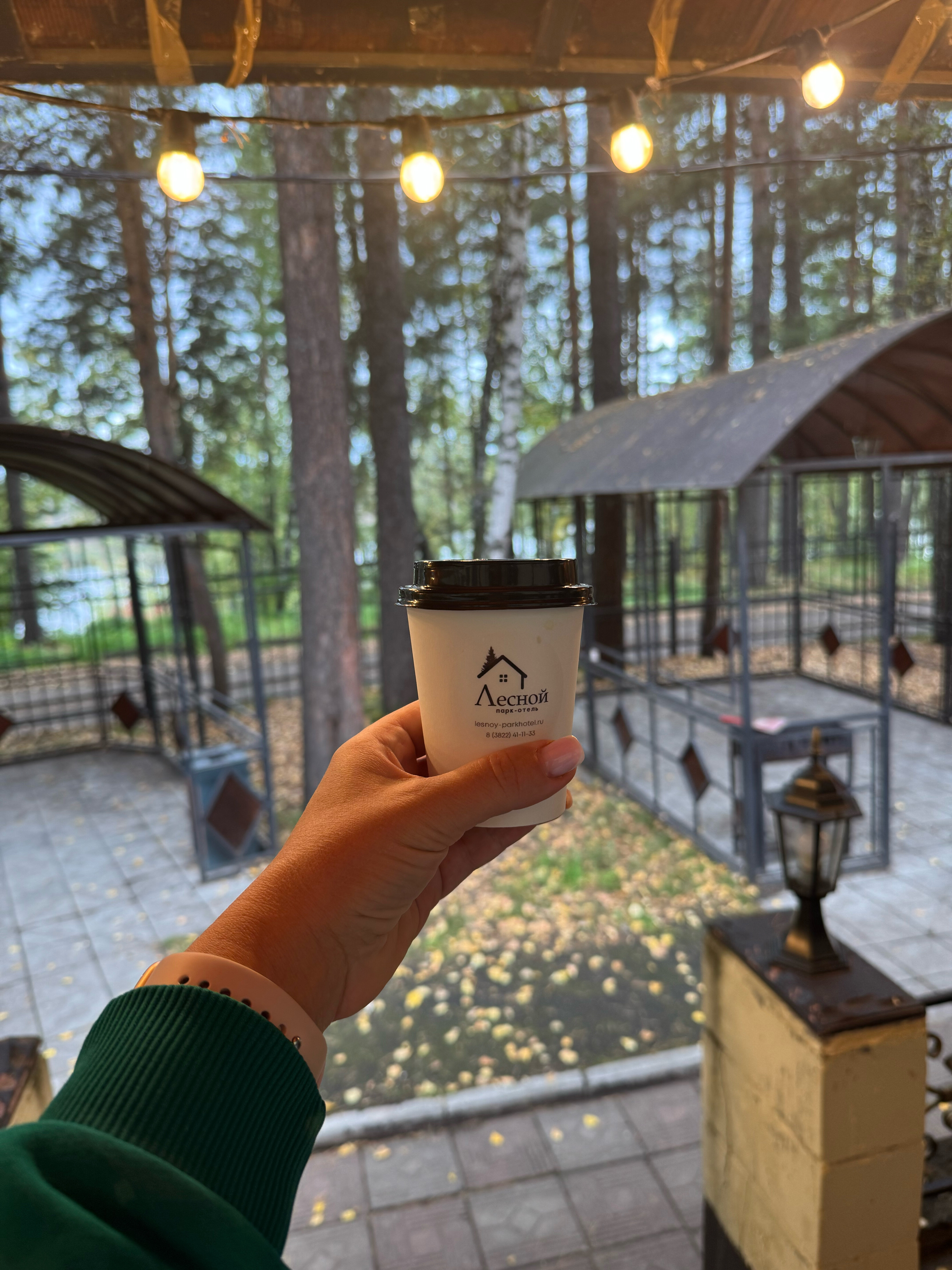 Фото Лесной