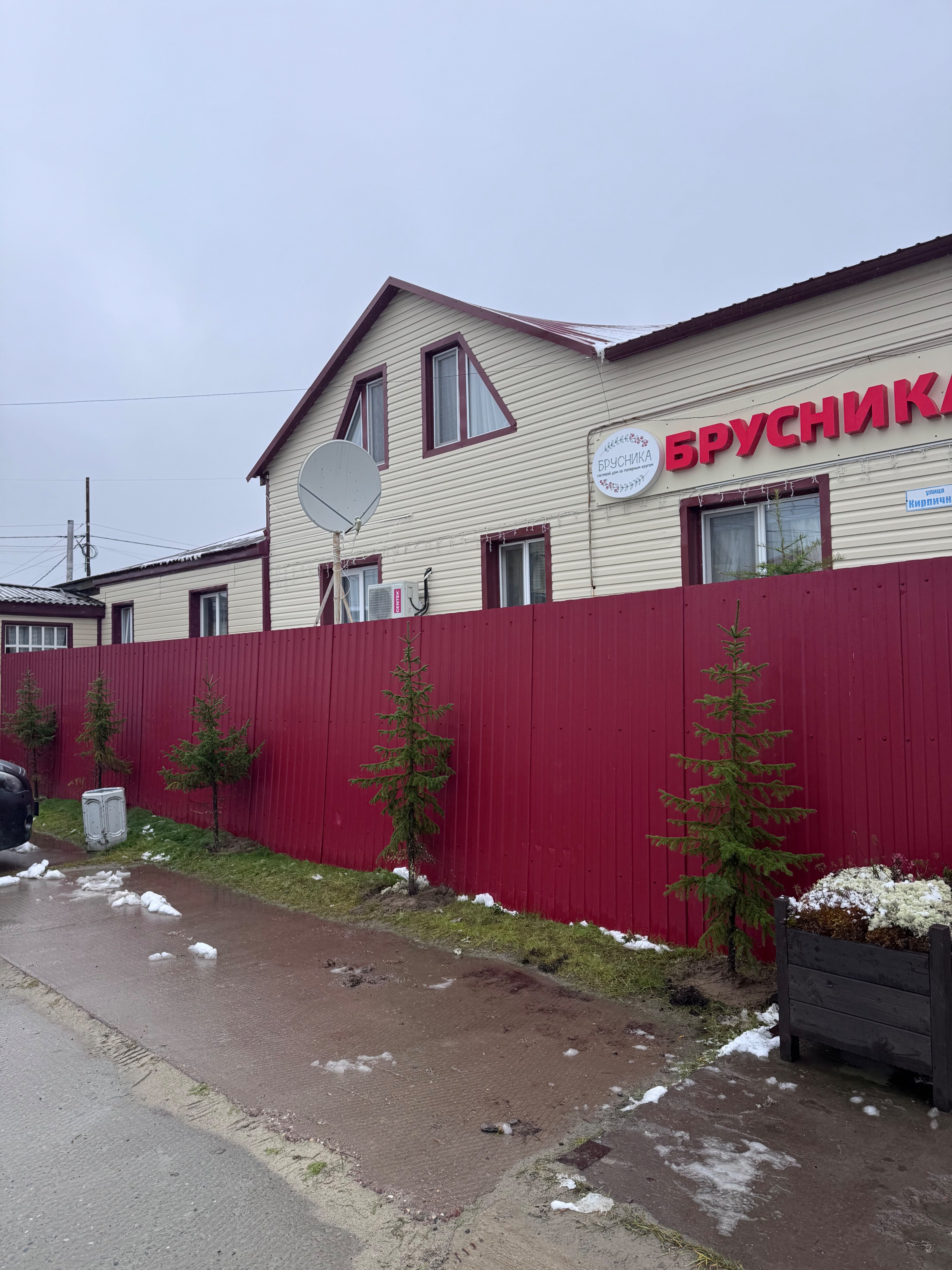 Фото Брусника