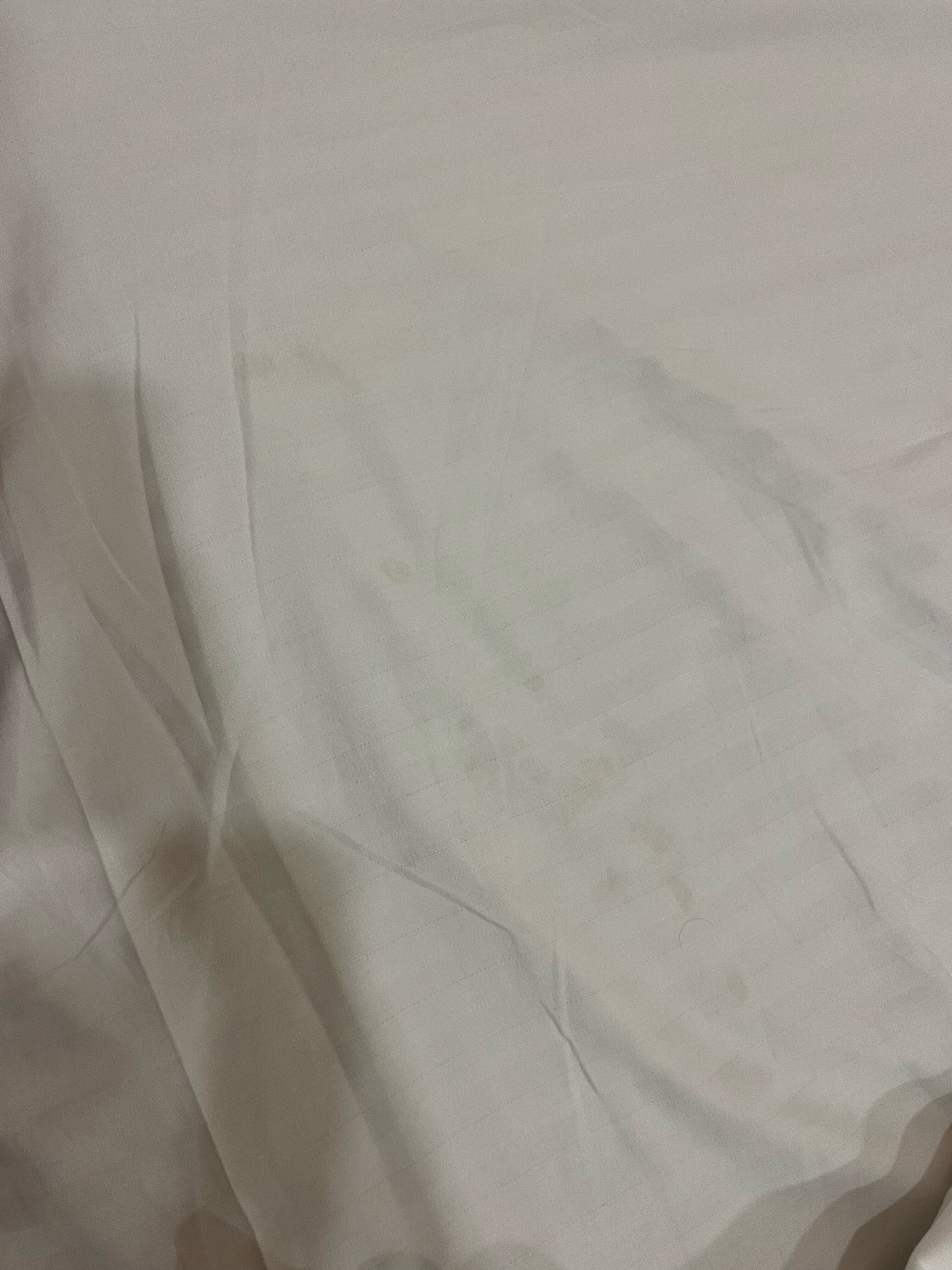 Фото Hotel Comfort