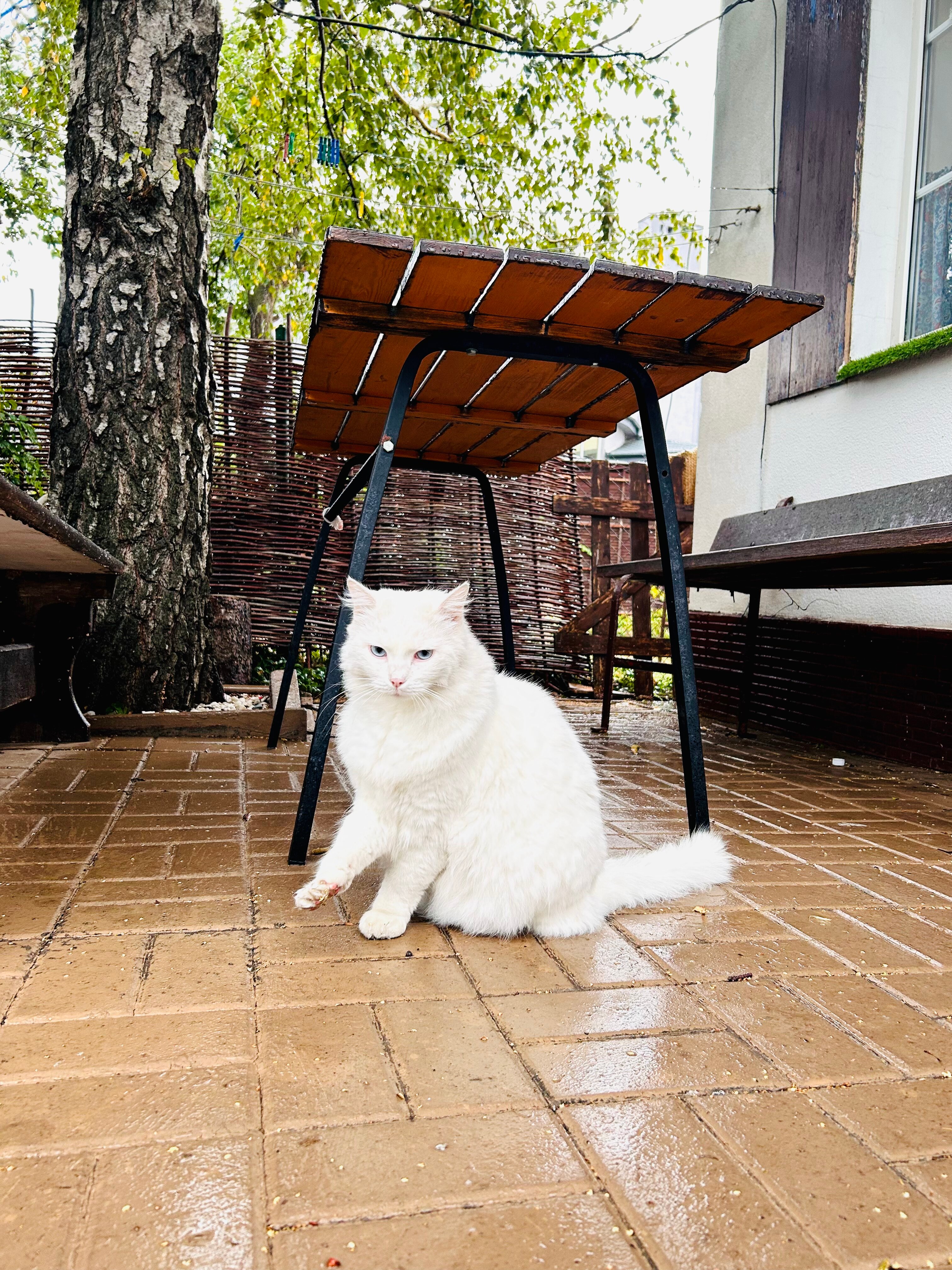 Фото Ростов Казачий