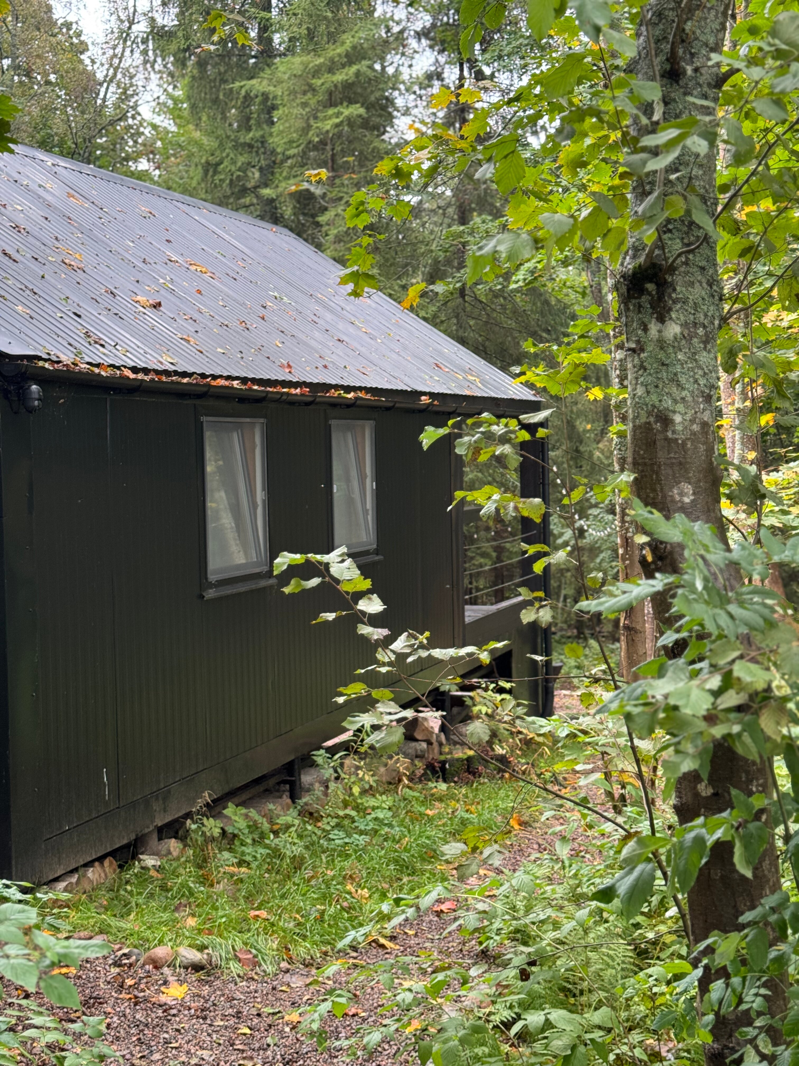 Фото Лес и Гора