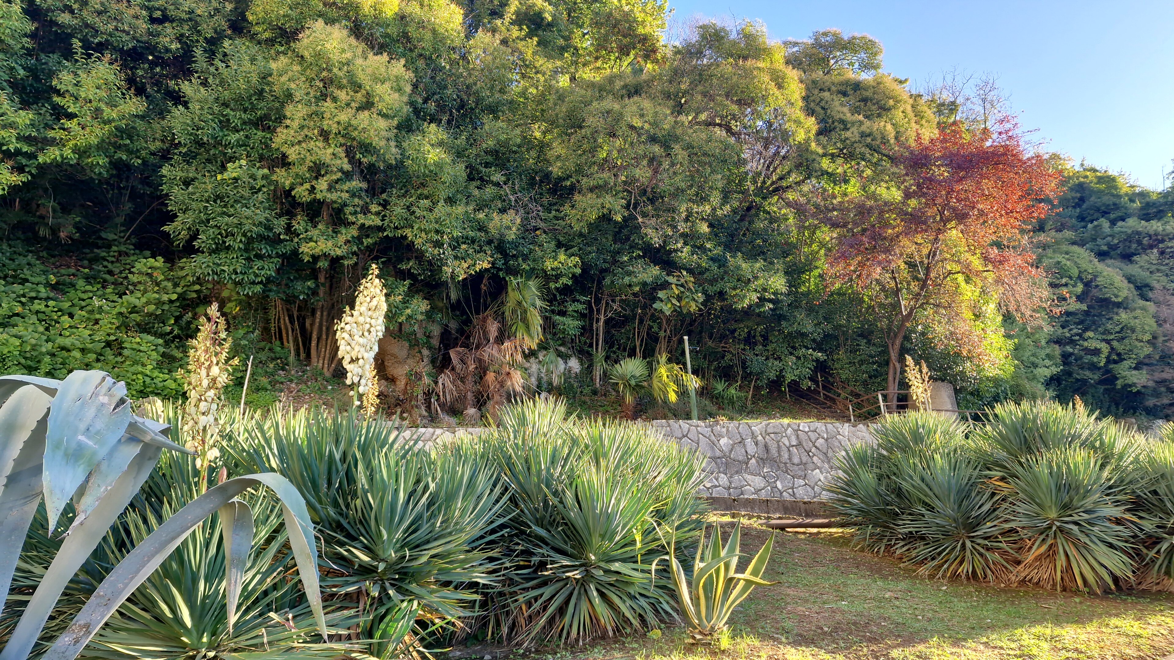 Фото Пансионат Солнечный Летний