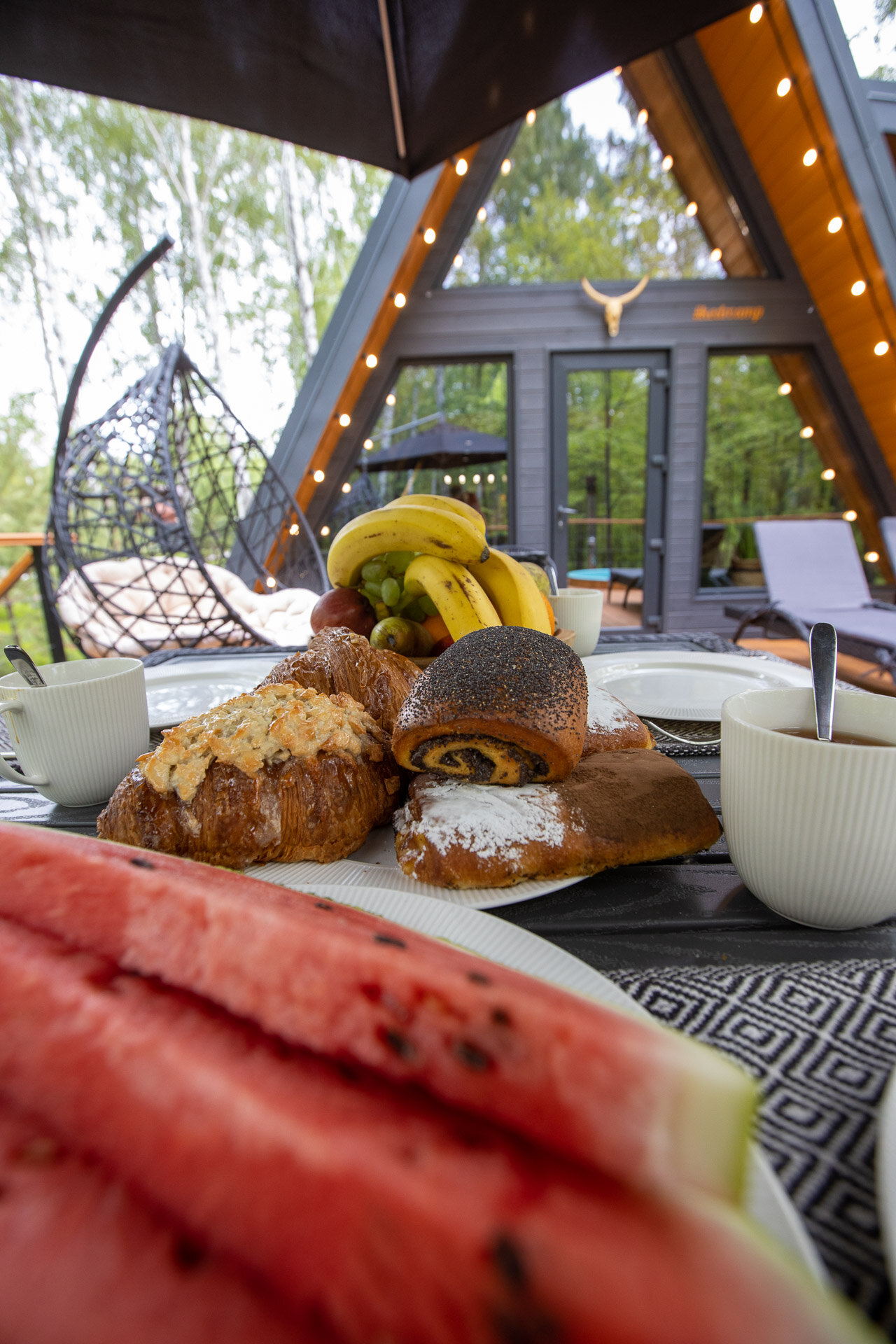 Фото Кедр Кэмп