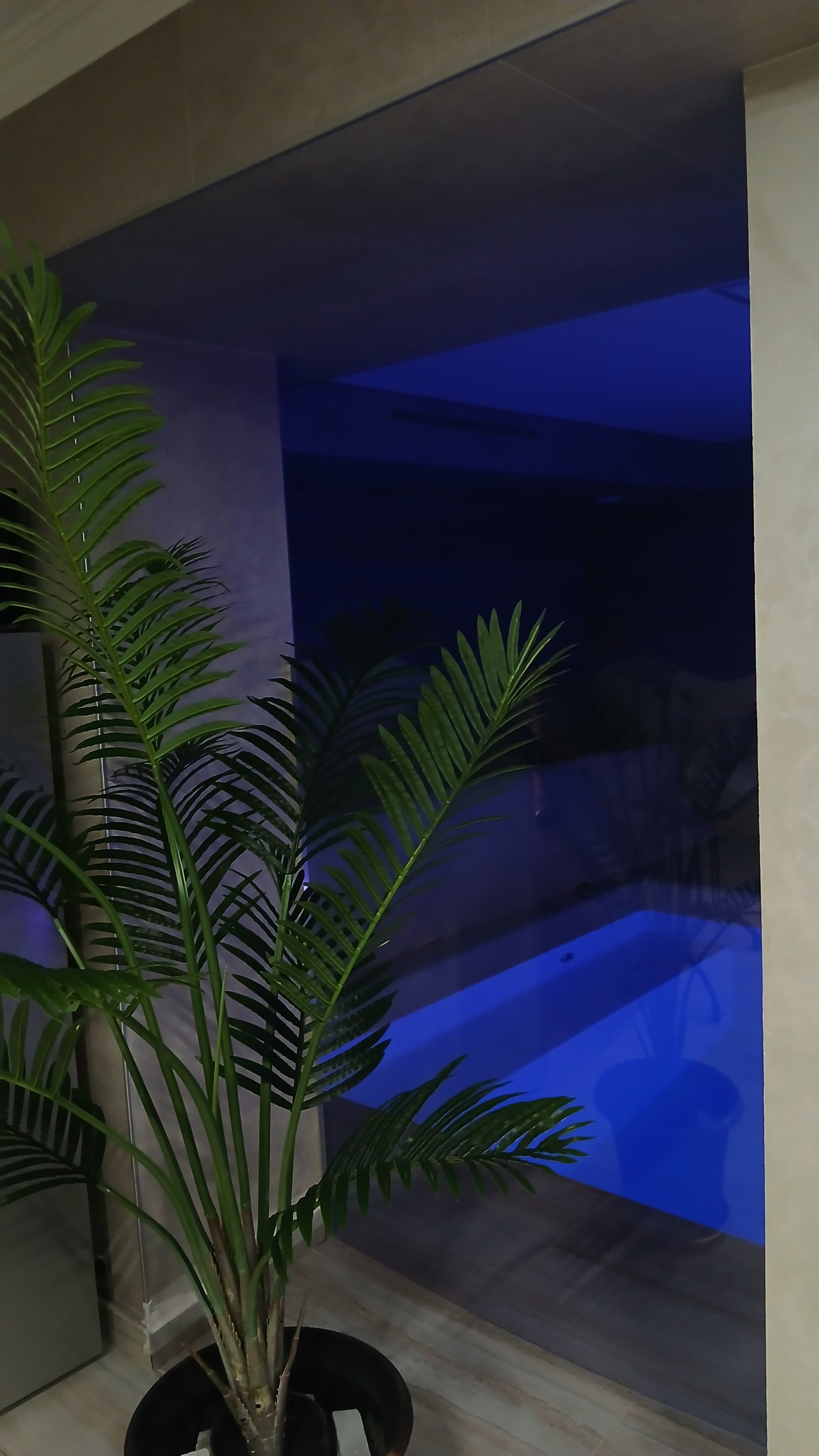 Фото У Грека