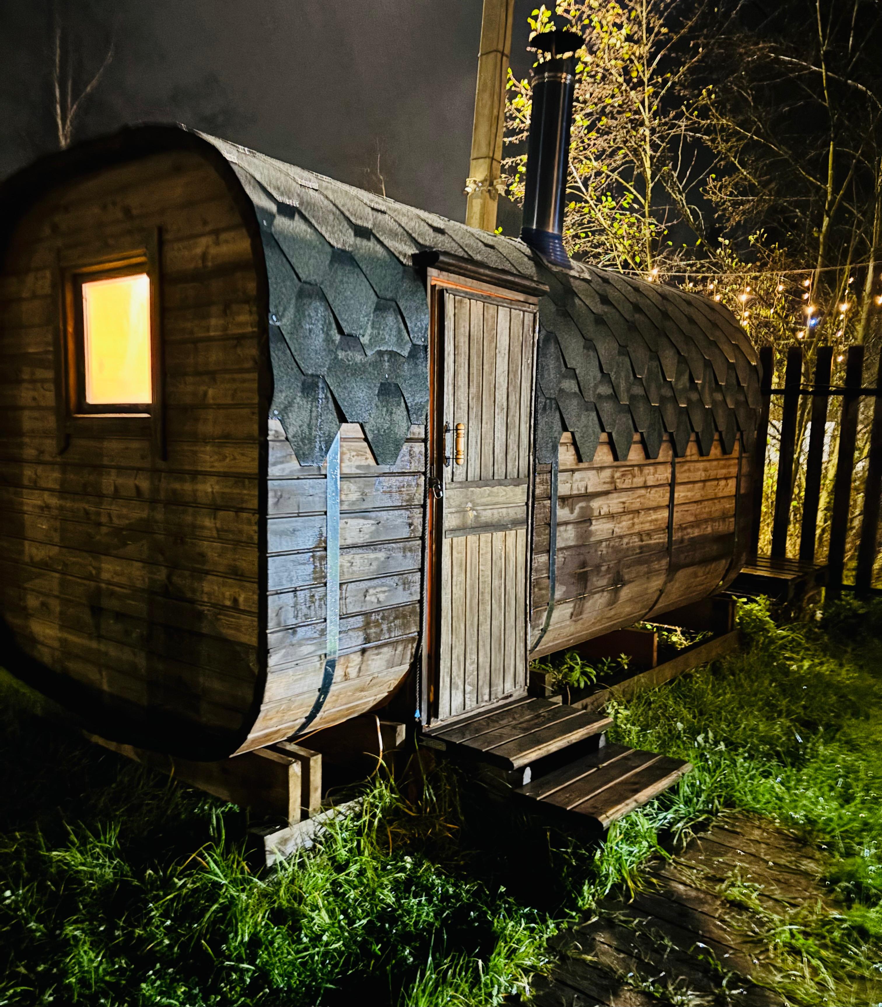 Фото Forest life